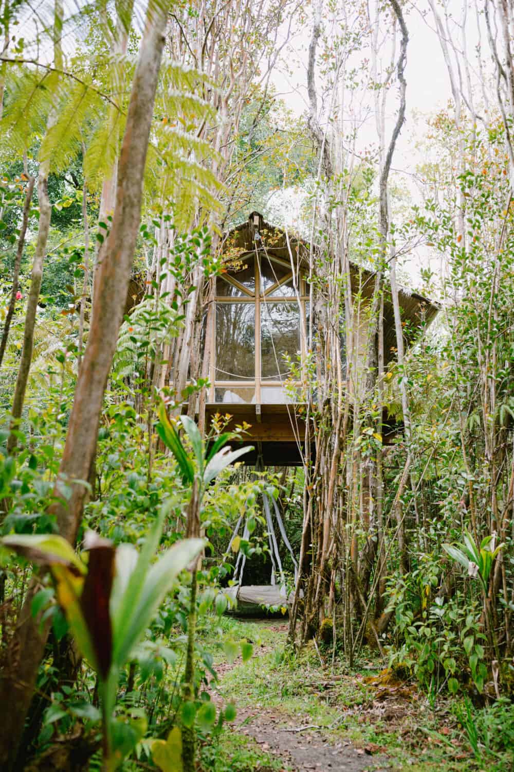 Best Treehouse In Hawaii -Outside View - TheMandagies.com