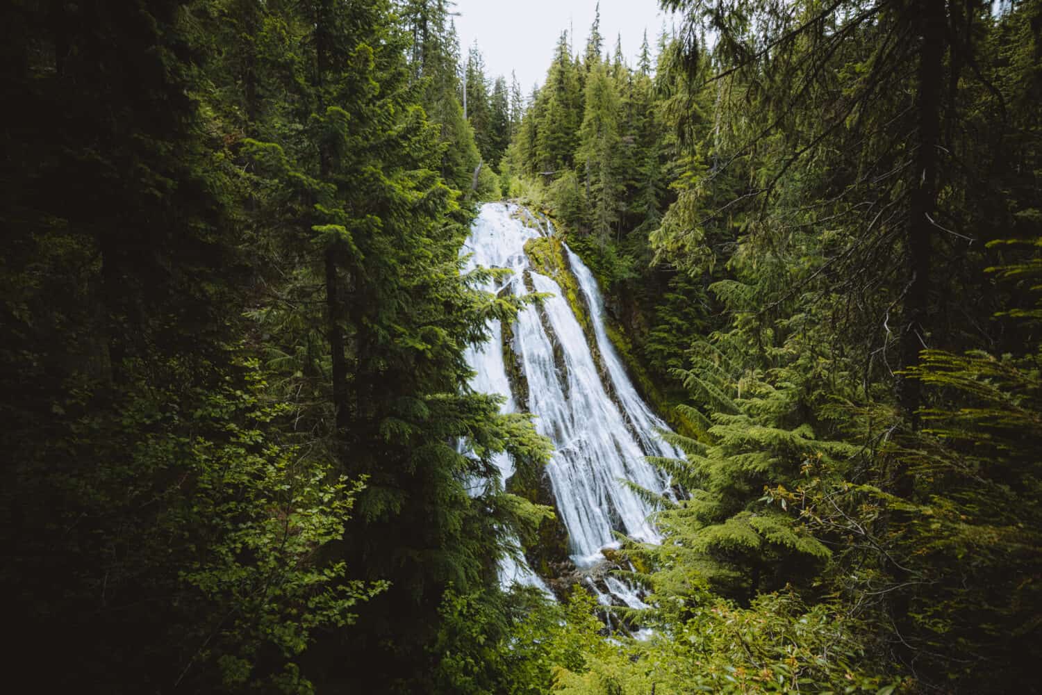 Upper Viewing Platform of Diamond Creek Falls - TheMandagies.com