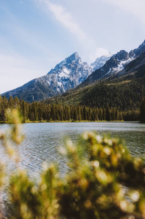 String Lake Spring The Best Guide To String Lake Trail In The Grand Tetons, Wyoming - The ...