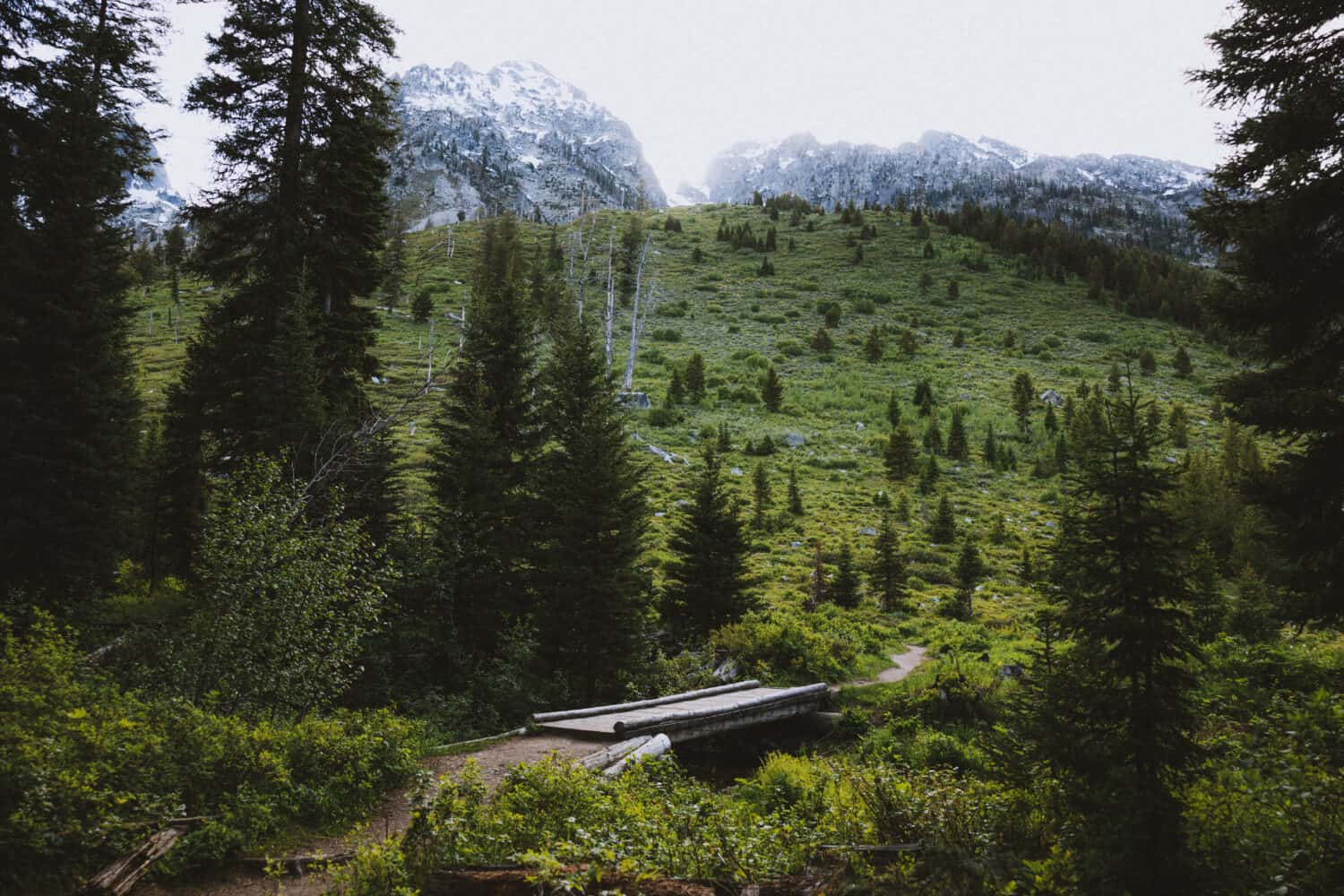 Bridge on String Lake Trail, Grand Teton National Park - TheMandagies.com