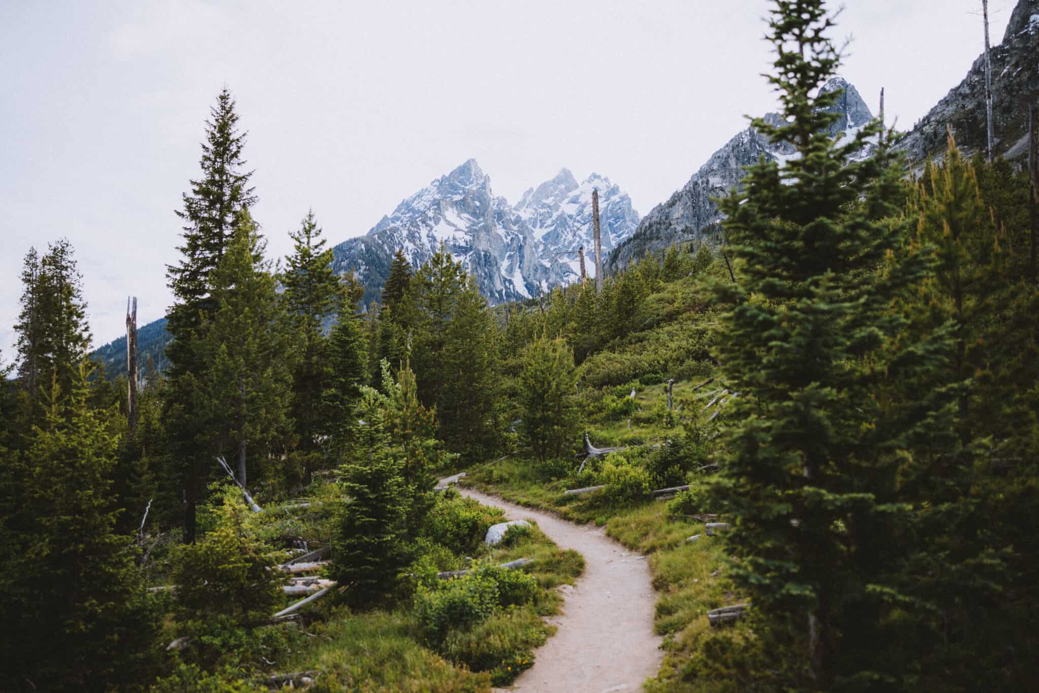 The Best Guide To String Lake Trail In The Grand Tetons, Wyoming