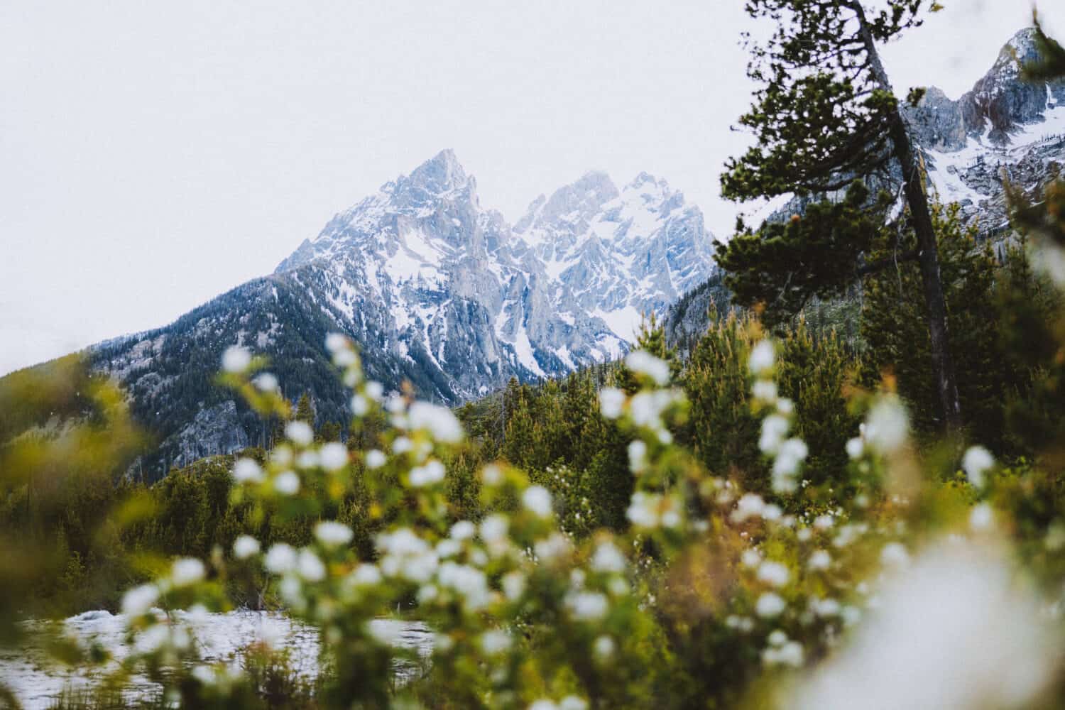 Views of Grand Teton Mountain Range on String Lake Trail