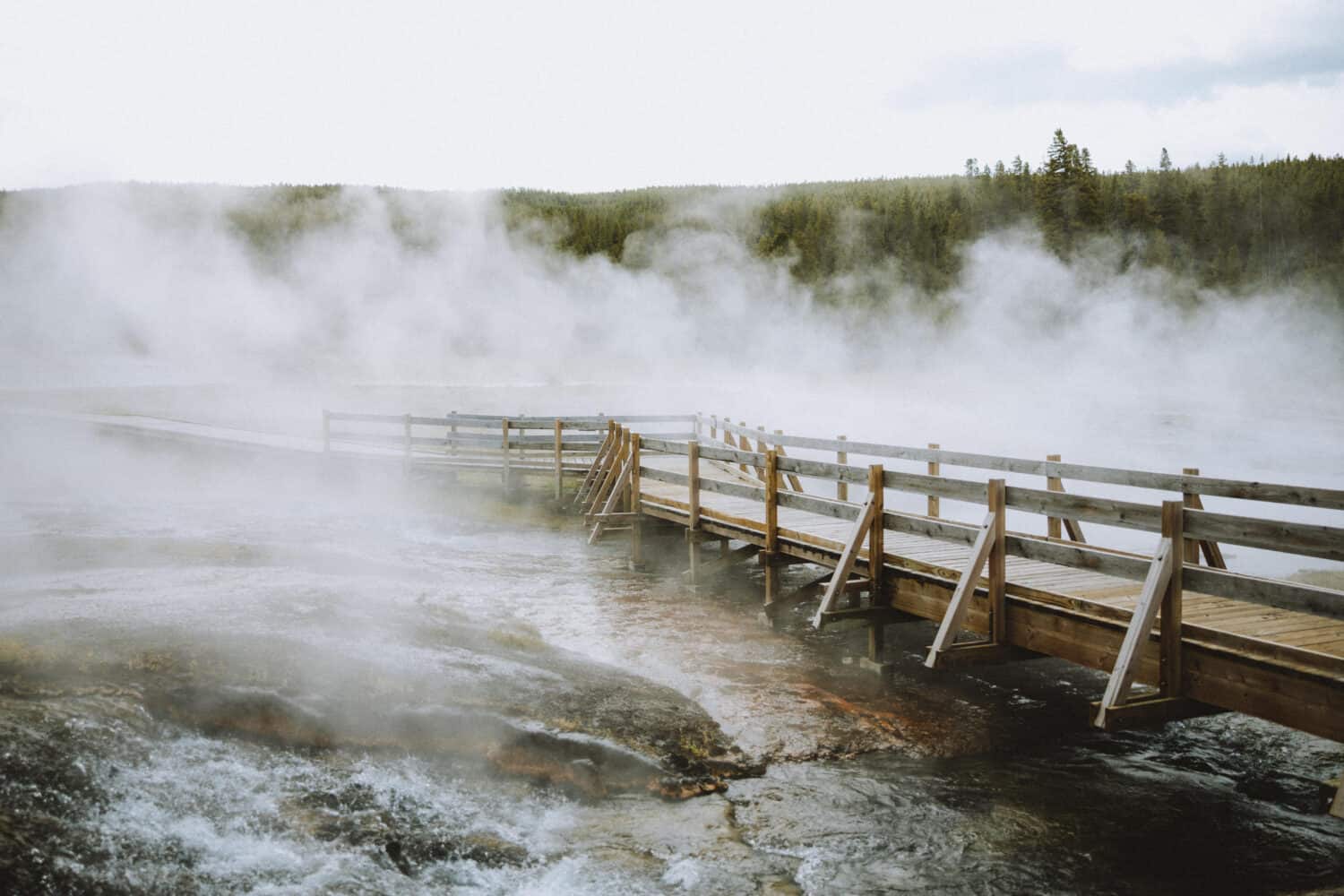 Steamy boardwalks at Yellowstone National Park