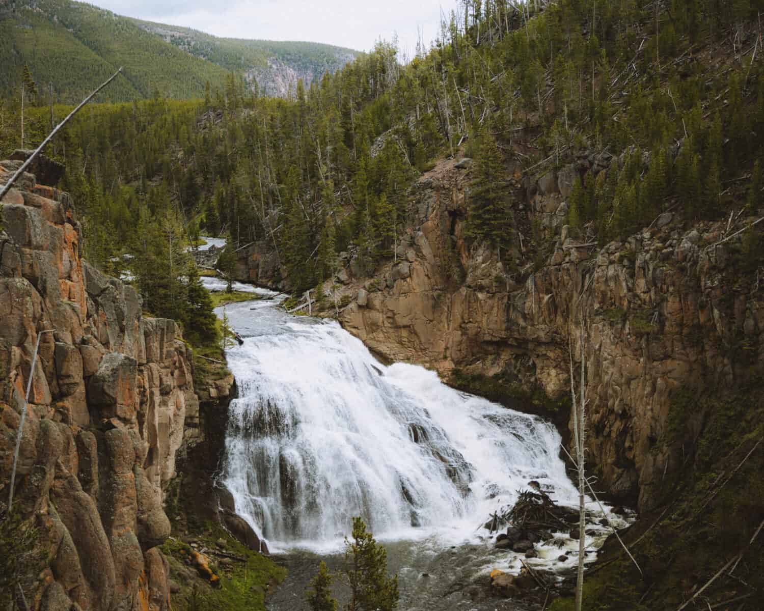 Gibbon Falls in Yellowstone - TheMandagies.com