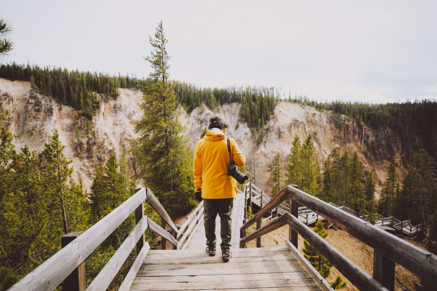 Things To Do In Yellowstone - Discover Viewpoints of Yellowstone Canyon