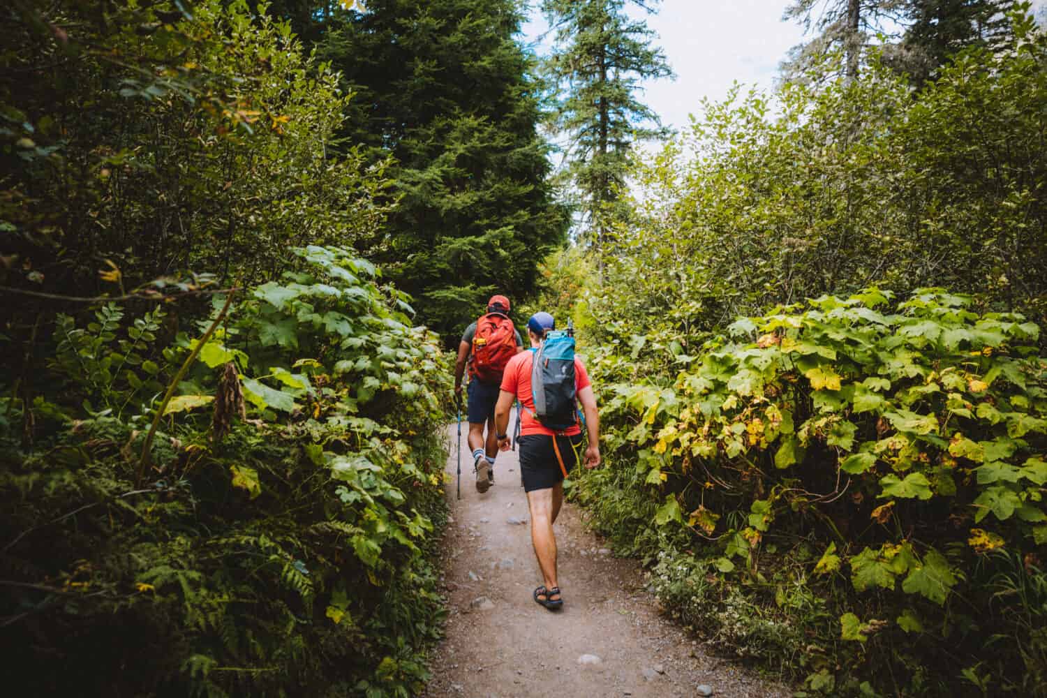 On the trail to Avalanche Lake in Glacier - TheMandagies.com