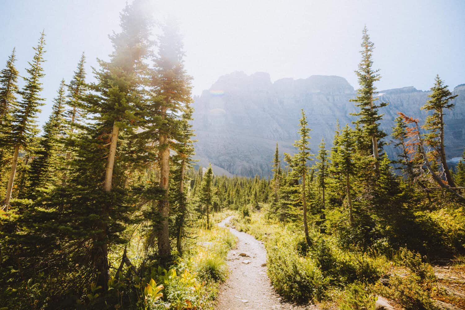 Iceberg Lake Trail Photo