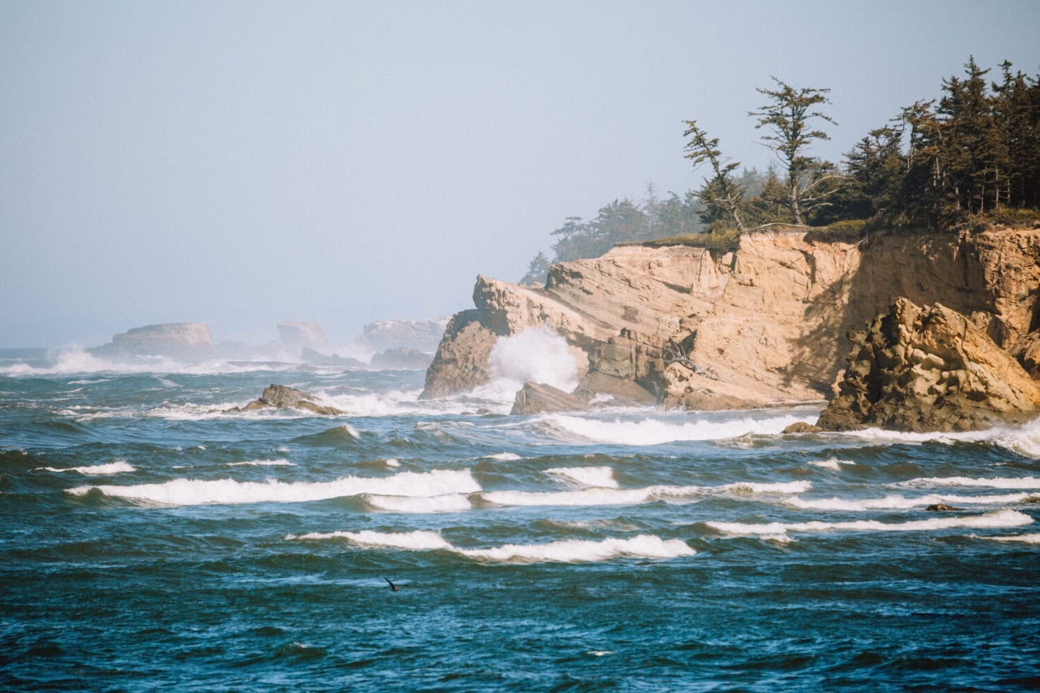 View from the Cape Arago Highway in Oregon