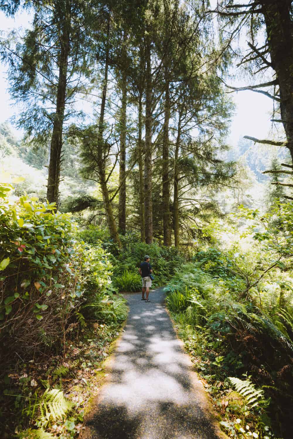 Cape Perpetua Hiking