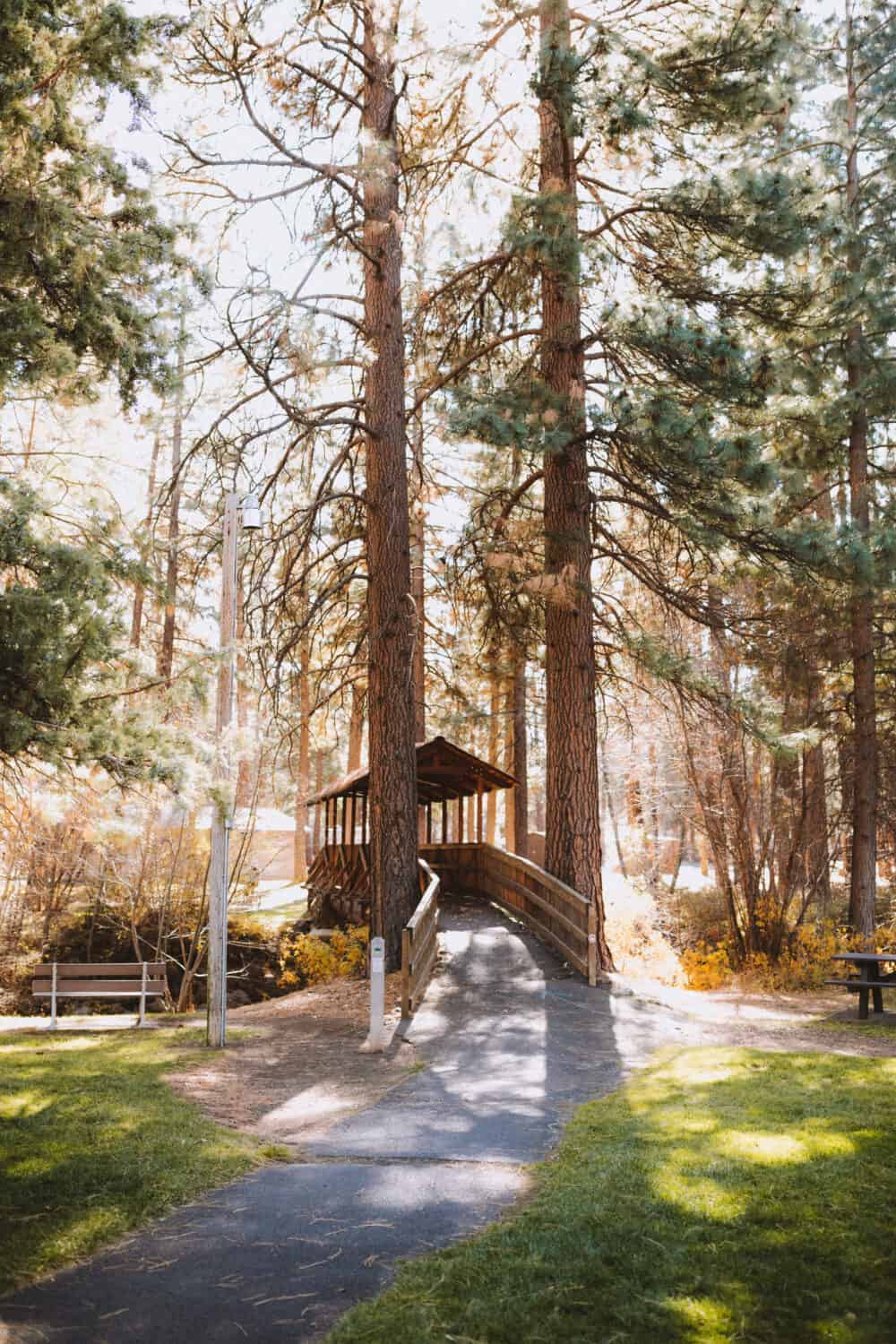 Biking Trails in Sisters, Oregon - TheMandagies.com