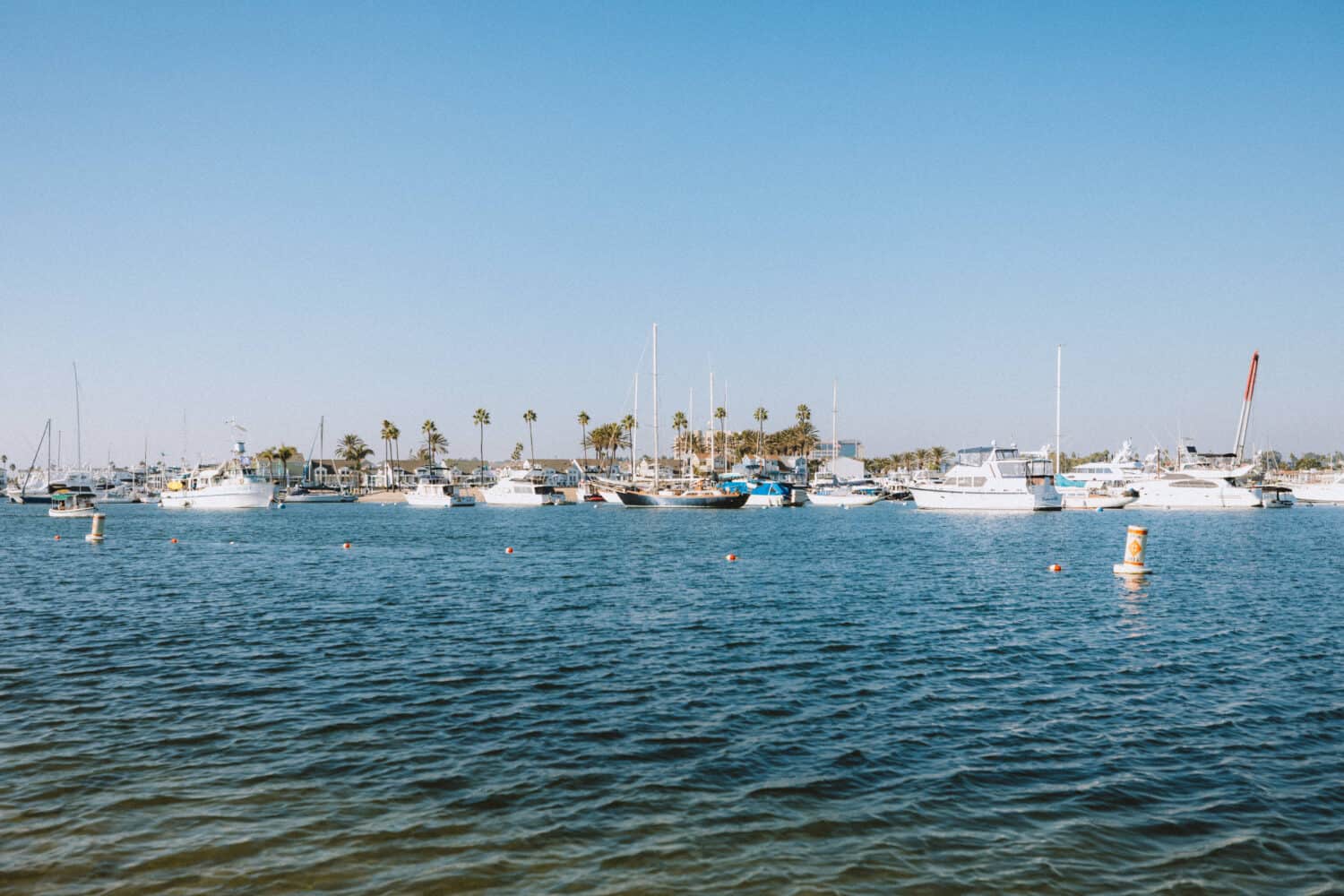 Paddle Boarding at Newport Beach Pier - TheMandagies.com