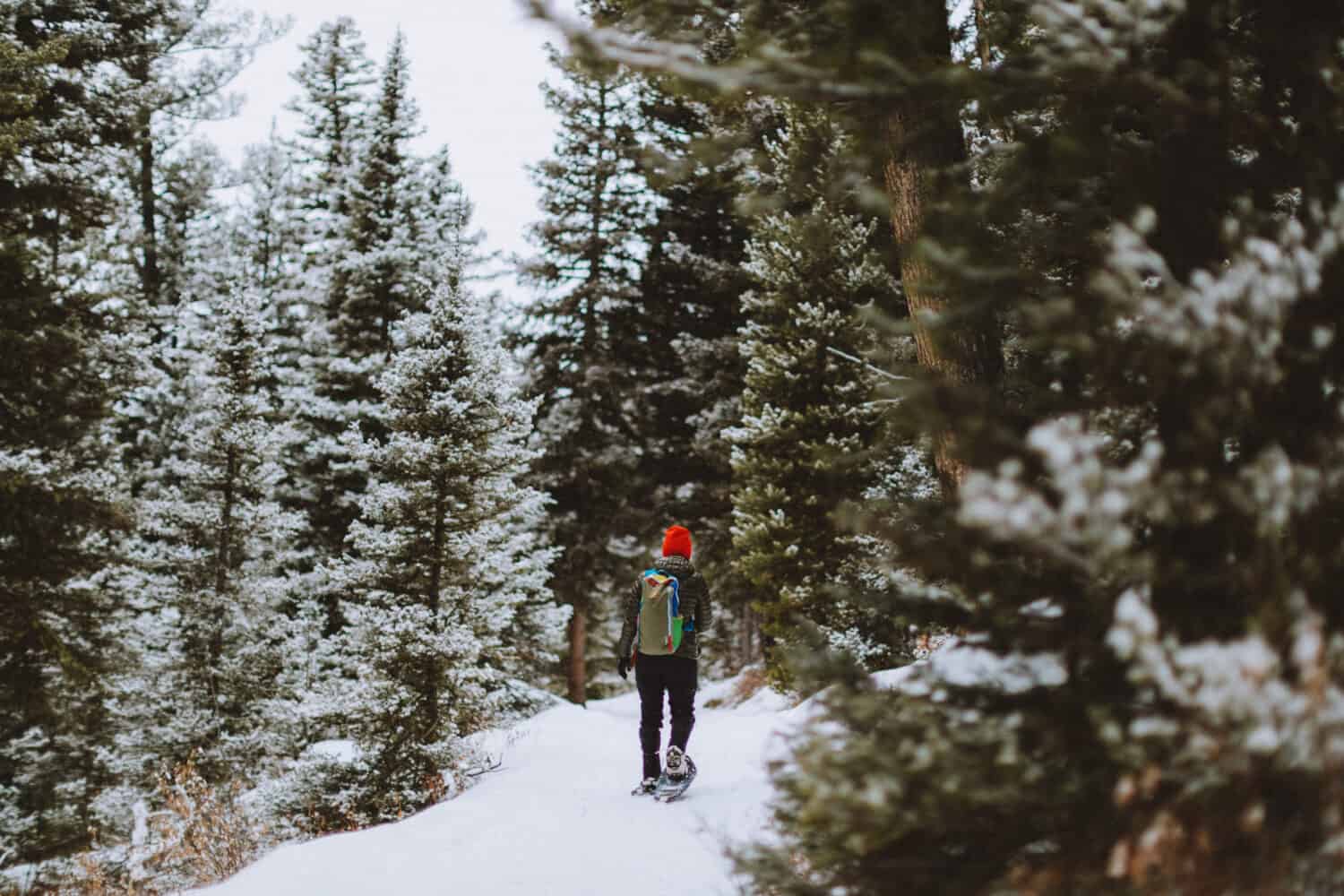 Winter Activities in Bozeman, Montana - snowshoeing - TheMandagies.com