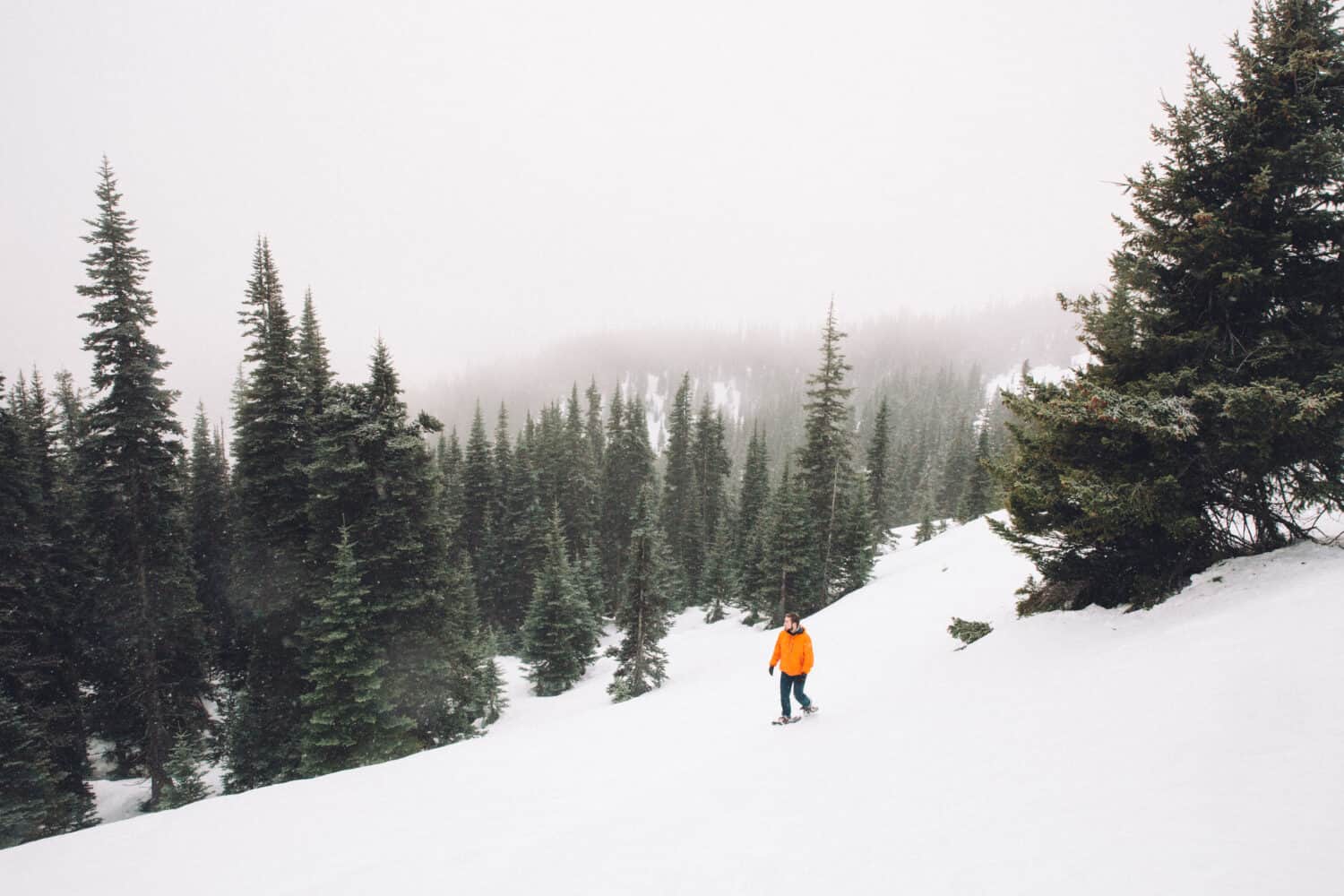 Joseph Roberts hiking Hurricane Ridge Trail - Washington Winter Hikes in Olympic National Park - TheMandagies.com