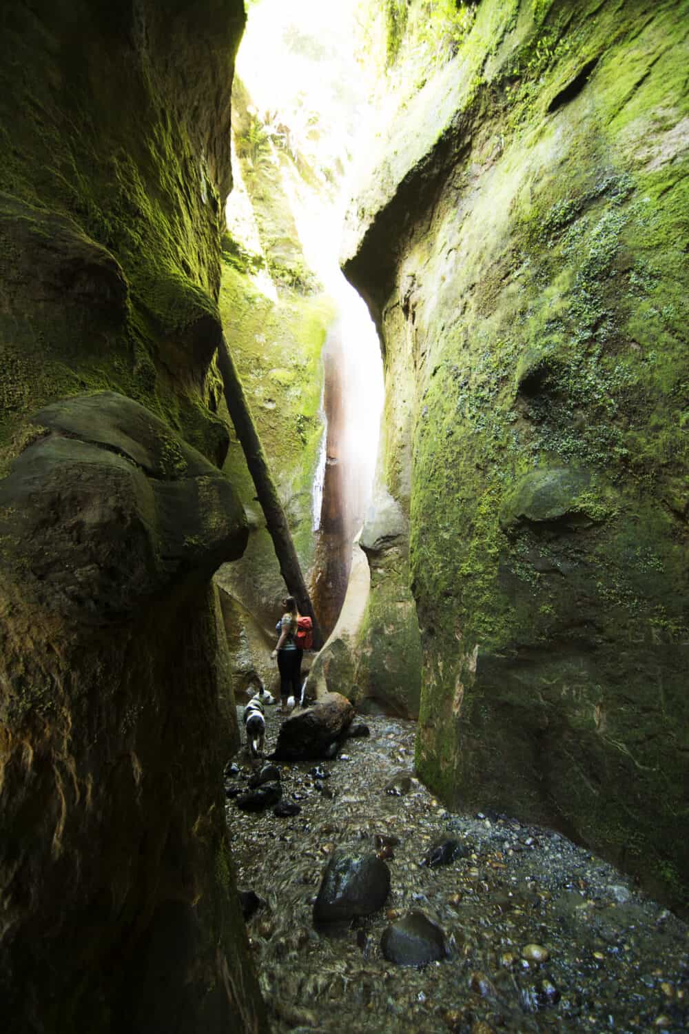 Sombrio Beach Trail - Port Renfrew Activities - TheMandagies.com