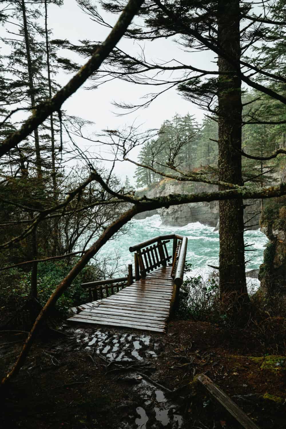 Cape Flattery Trail Viewpoint - TheMandagies.com