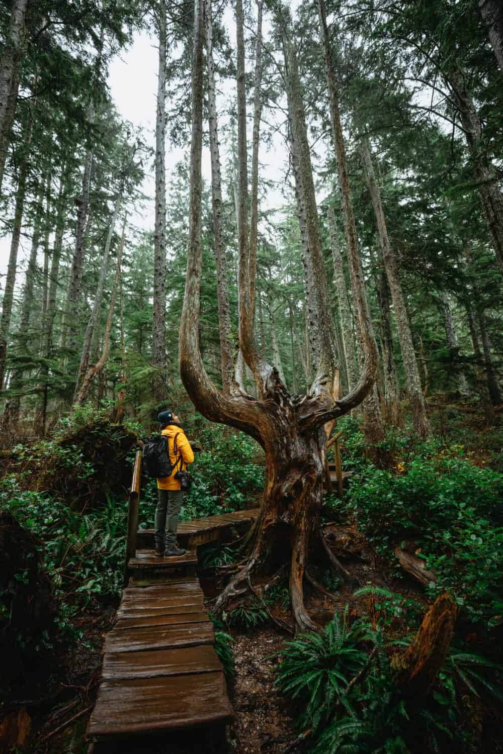 Berty Mandagie walking at Cape Flattery, Washington - TheMandagies.com