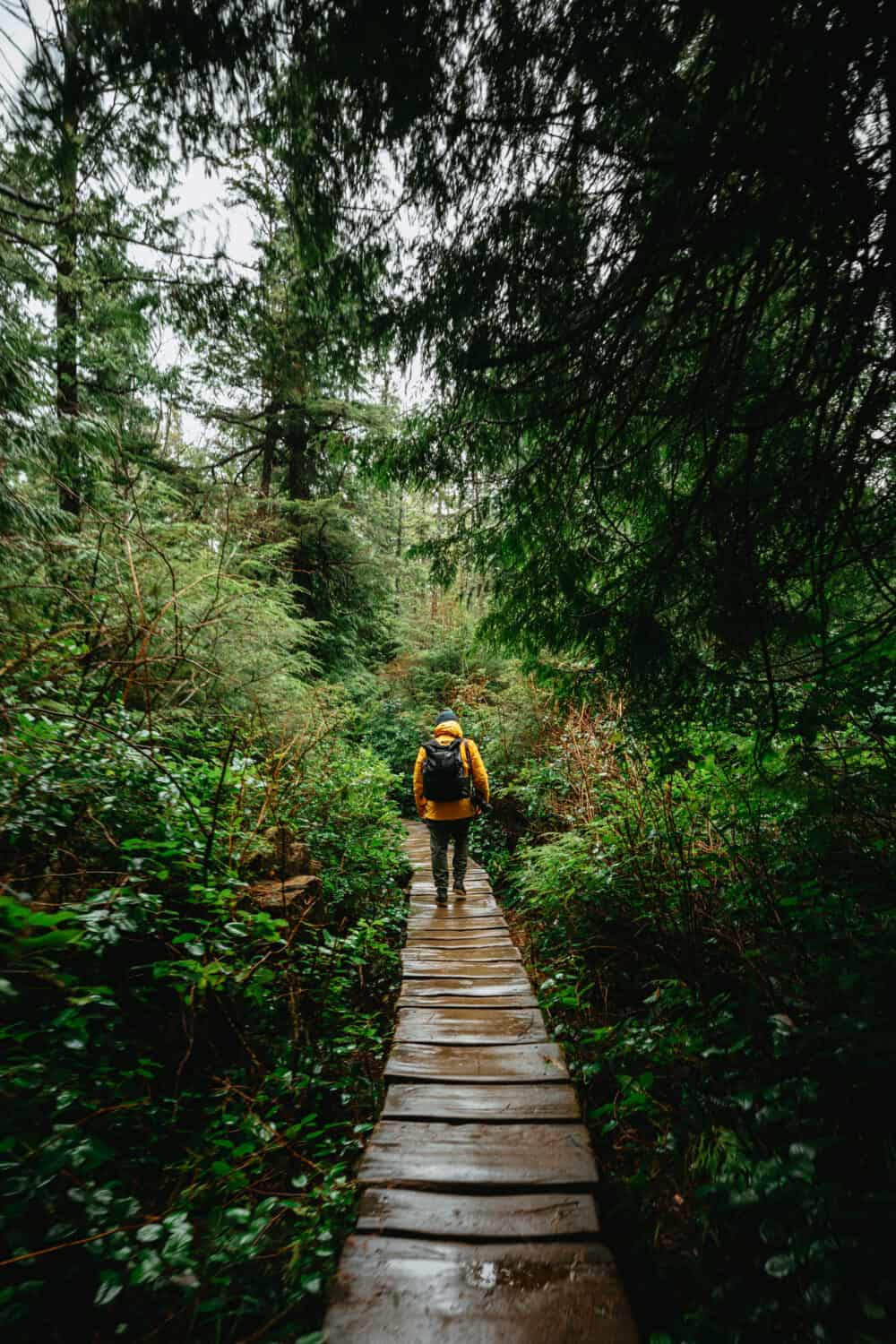 Boardwalks in Cape Flattery, Washington - TheMandagies.com