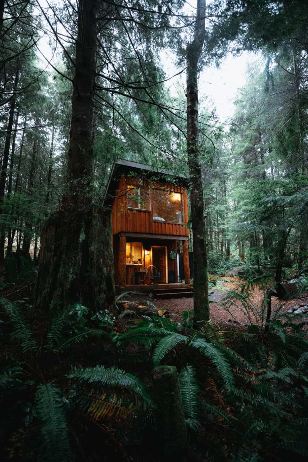 Fern Gully Cabins in Jordan River, Vancouver Island - TheMandagies.com