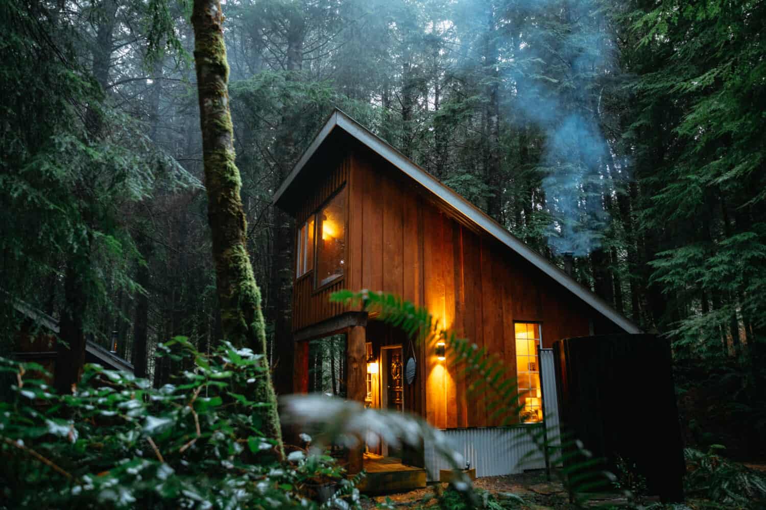 Fern Gully Cabins in Port Renfrew, Vancouver Island