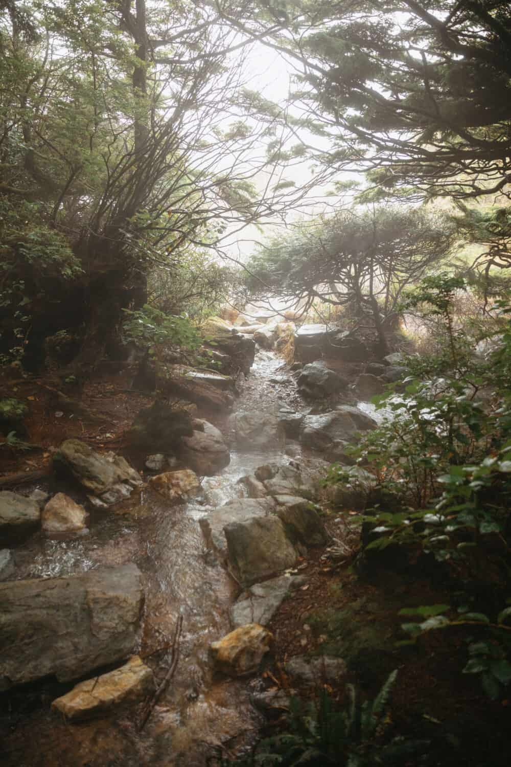 View of steam from Tofino hot springs - TheMandagies.com