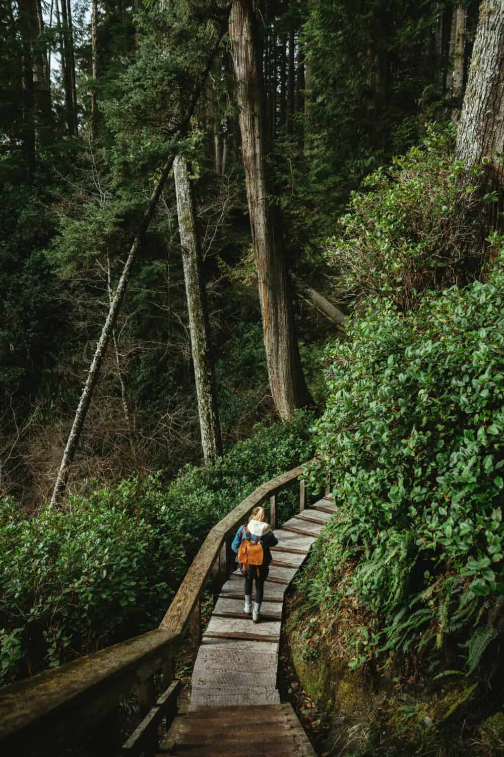 Hiking Trails in Port Renfrew, British Columbia - TheMandagies.com