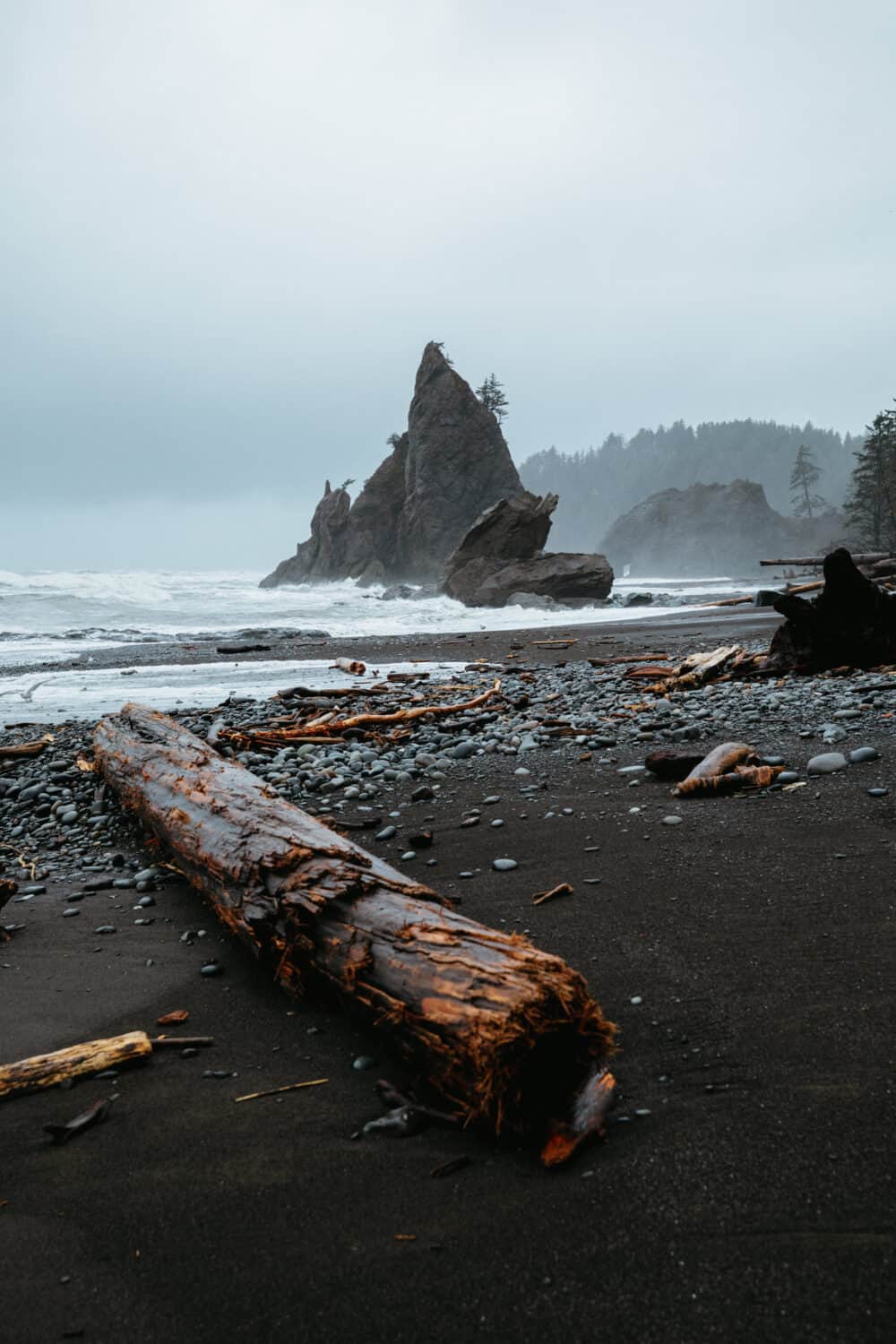 Driftwood logs on Rialto Beach on the Washington Coast - TheMandagies.com