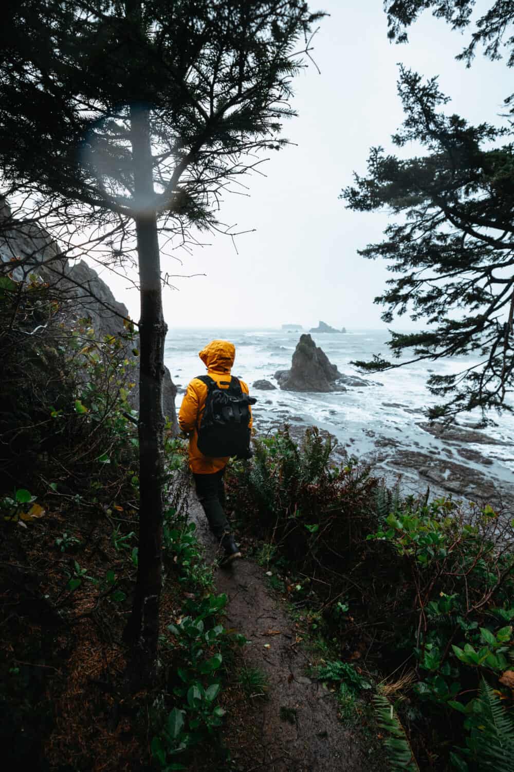 30 Epic Things To Do In Olympic National Park The Mandagies