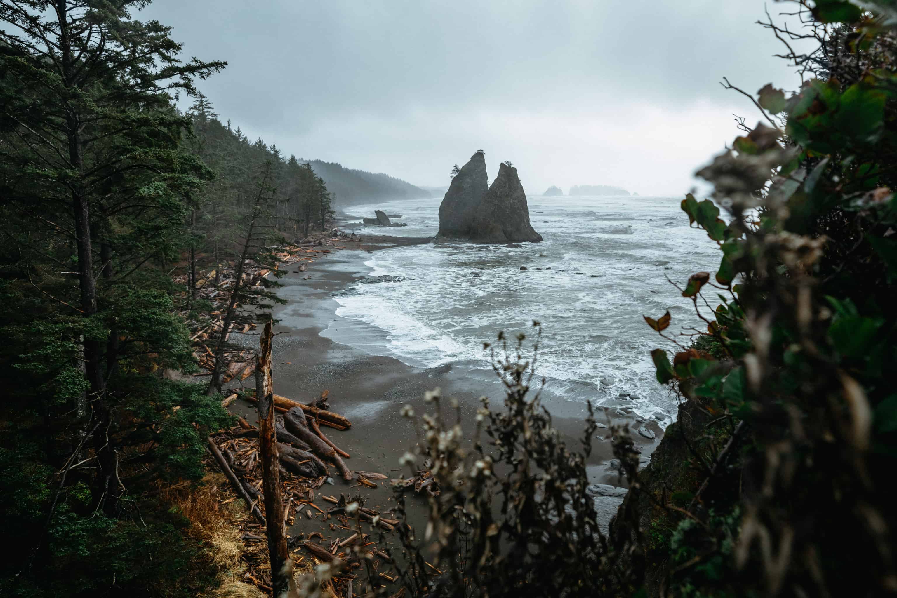 30+ Best Things To Do In Olympic National Park (Itinerary Examples, Best Hikes, And Maps!)