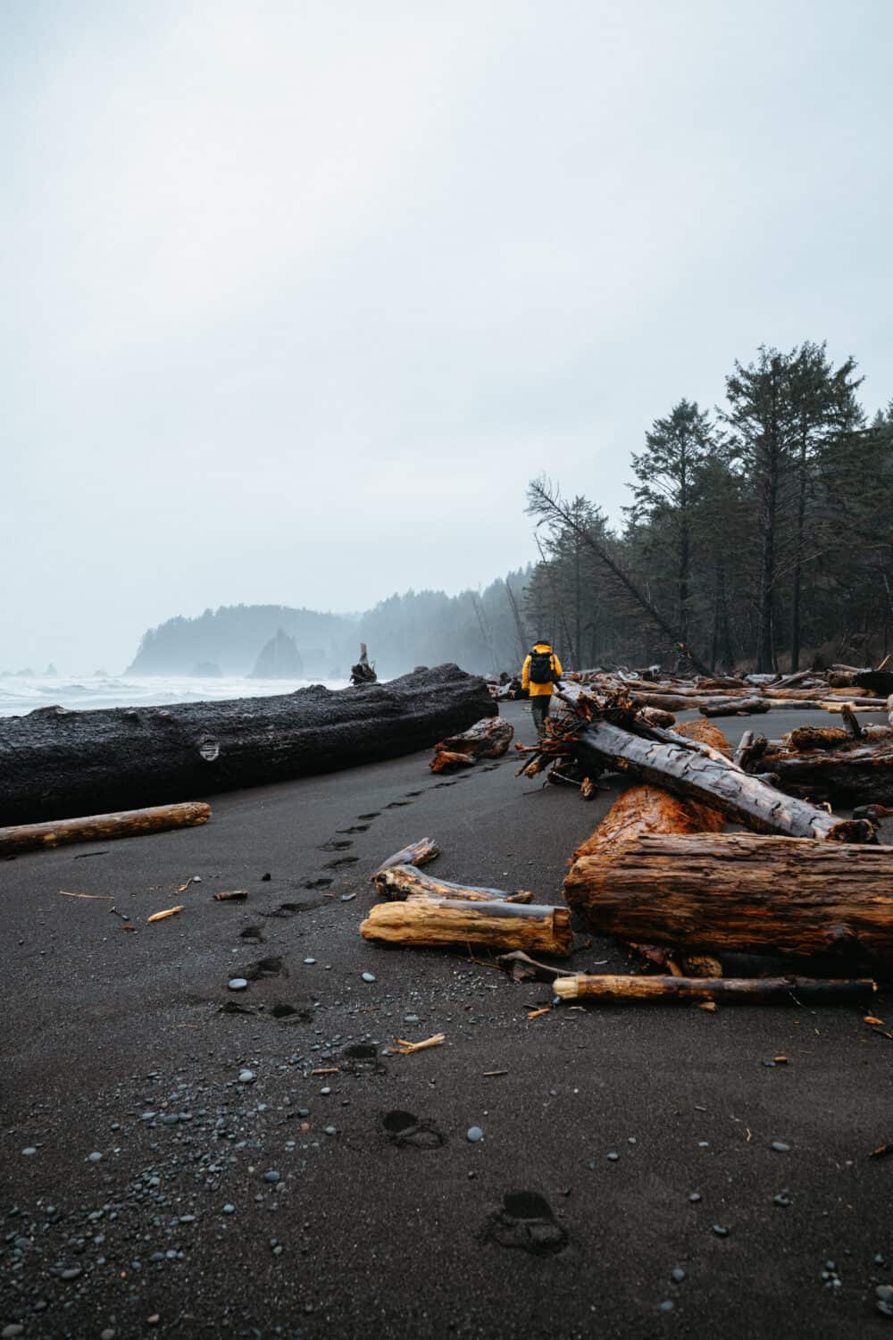 Rialto Beach in the winter season - TheMandagies.com