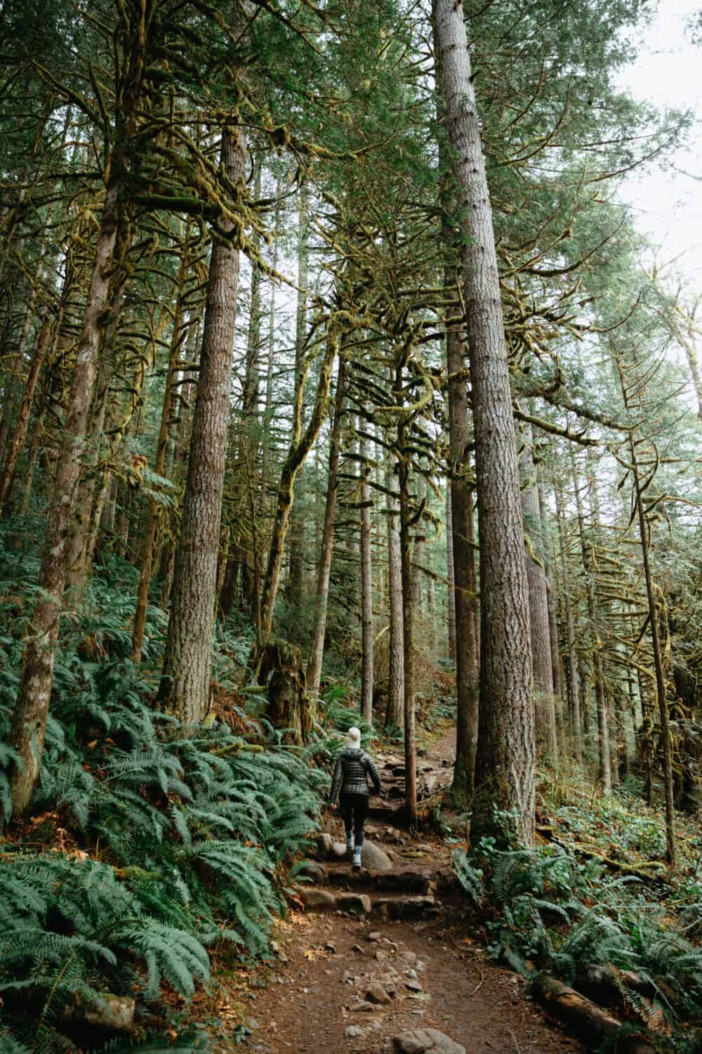 Emily Mandagie walking on natural stairs in Wallace Falls State Park - TheMandagies.com