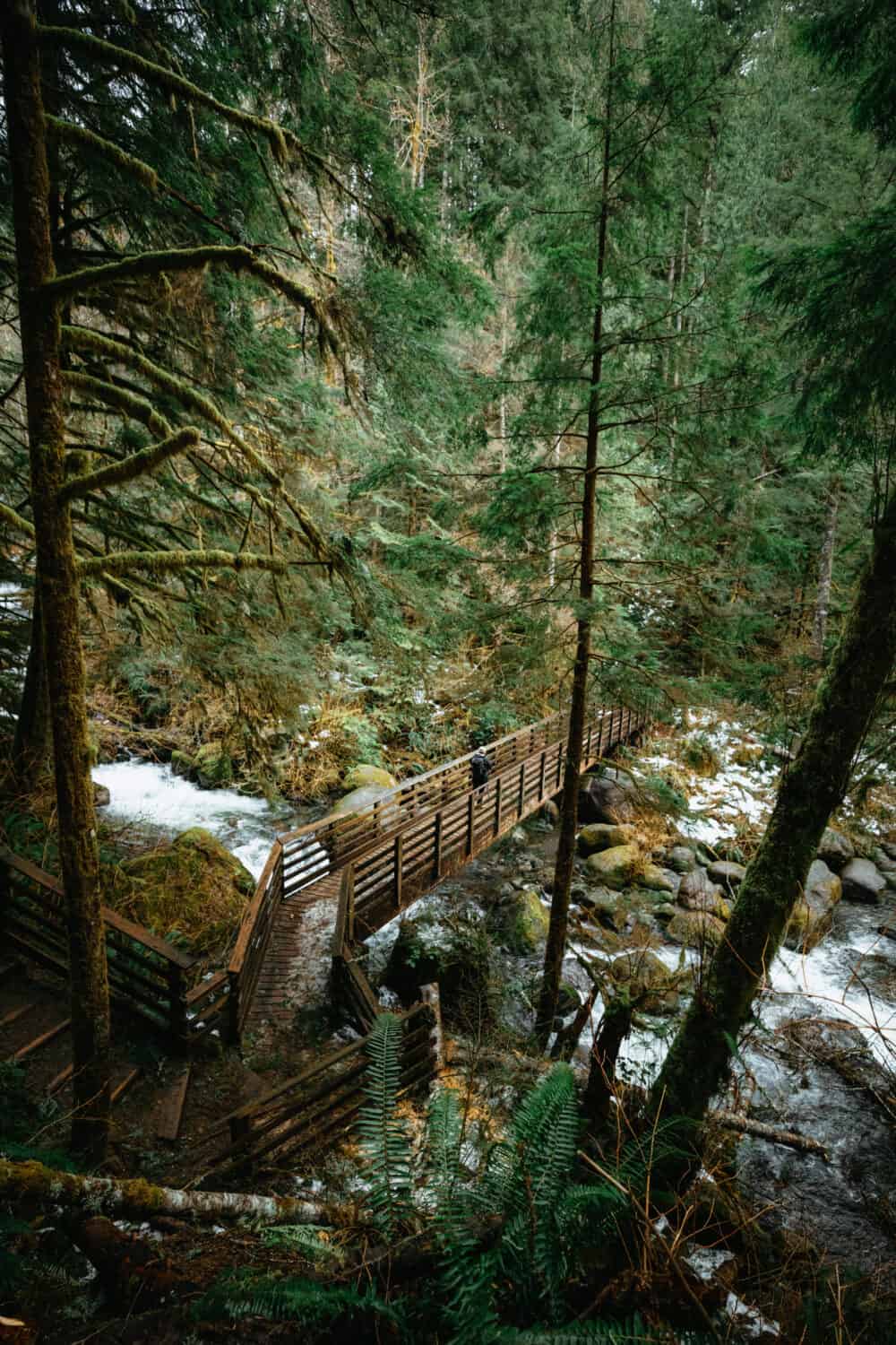 Wallace Falls Hike Wooden Bridge in Washington - TheMandagies.com