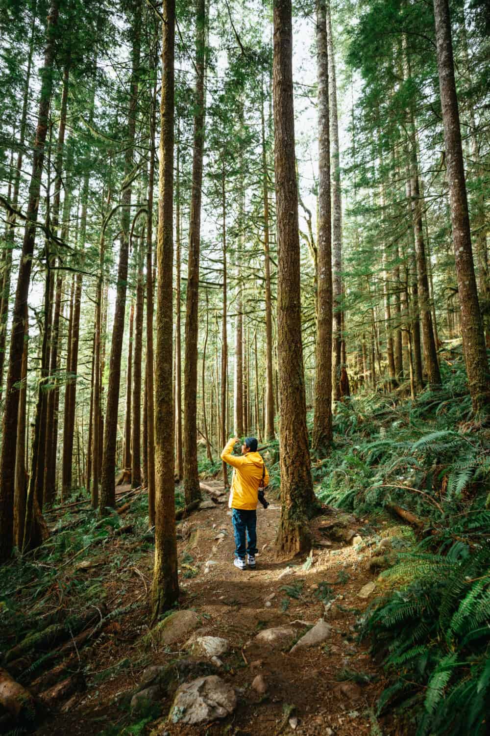 Mount Baker-Snoqualmie National Forest - TheMandagies.com