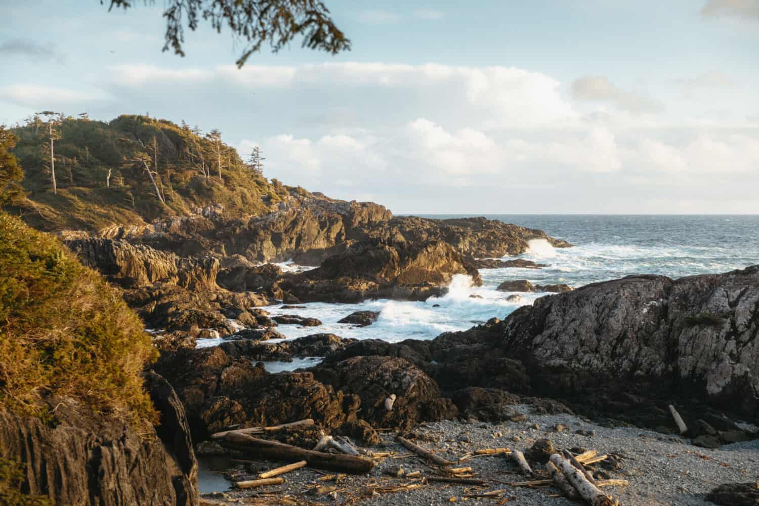 Wild Pacific Trail near Tofino, BC