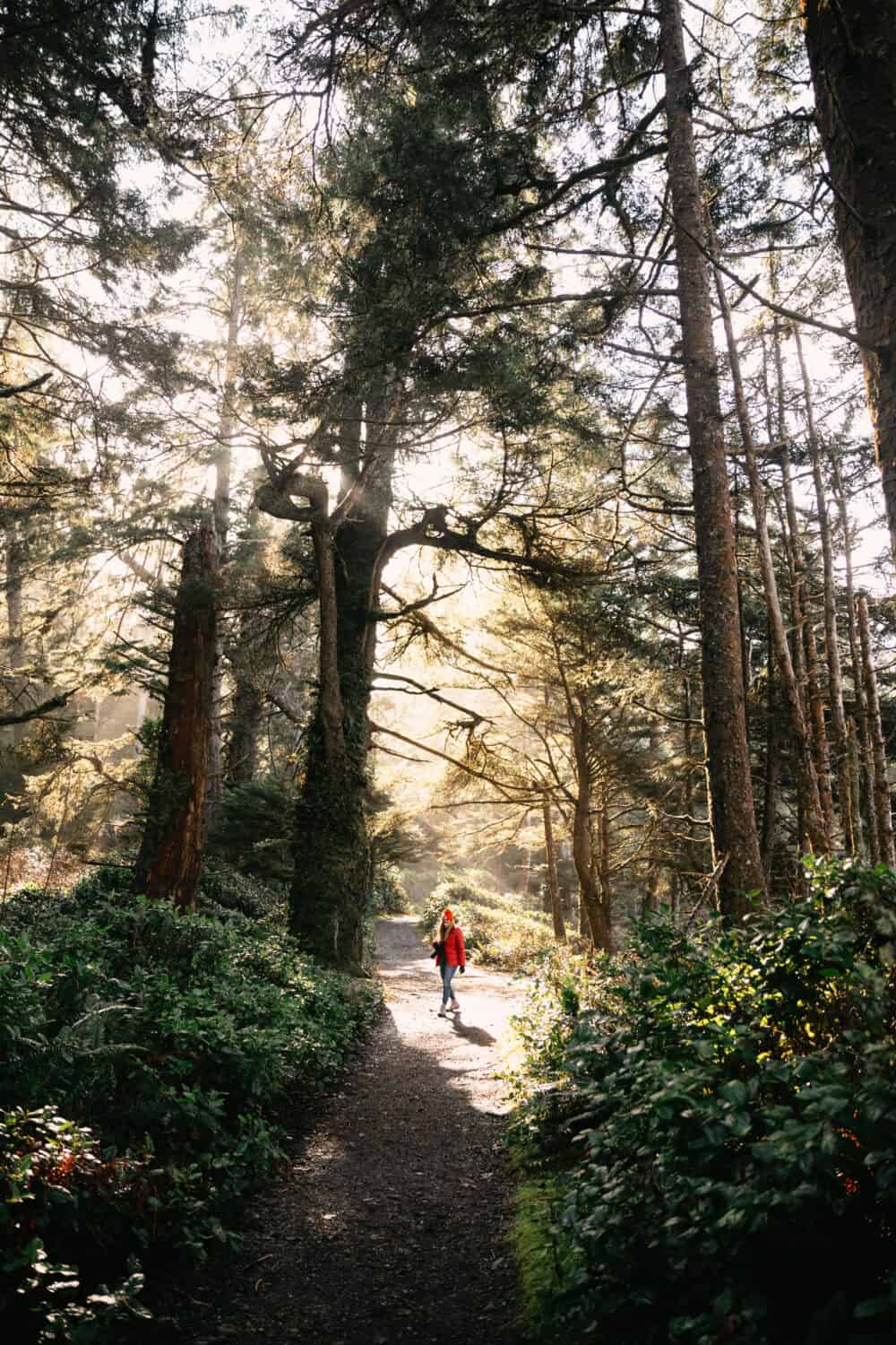 Emily Mandagie spending 3 Days in Tofino