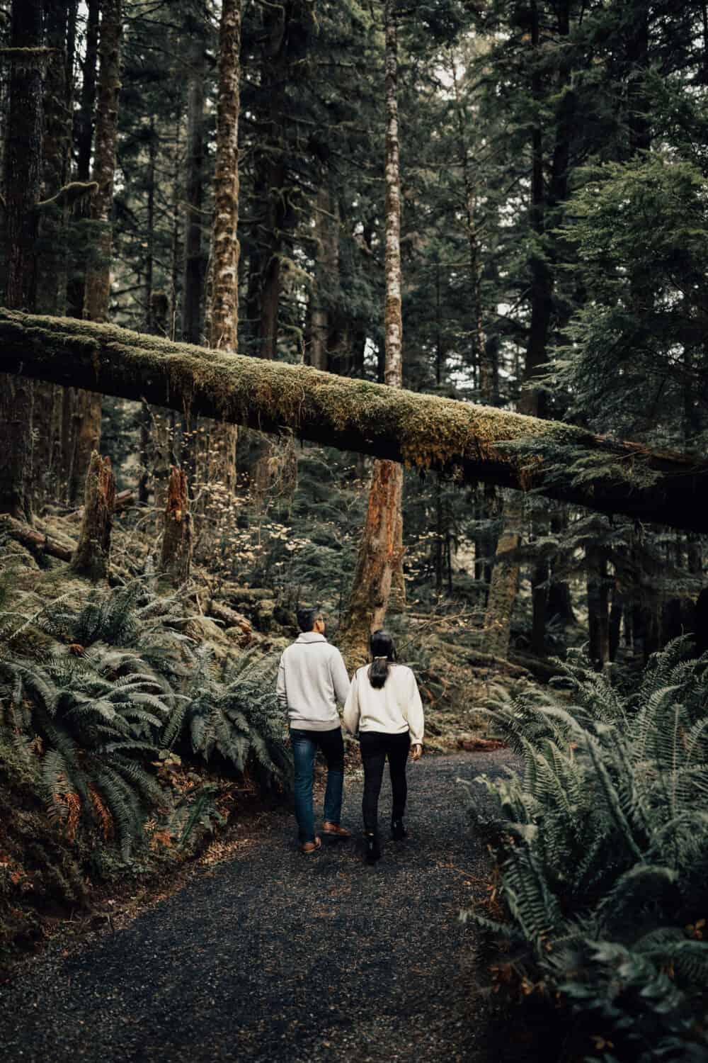 What To Do In Olympic National Park - Staircase Area - TheMandagies.com