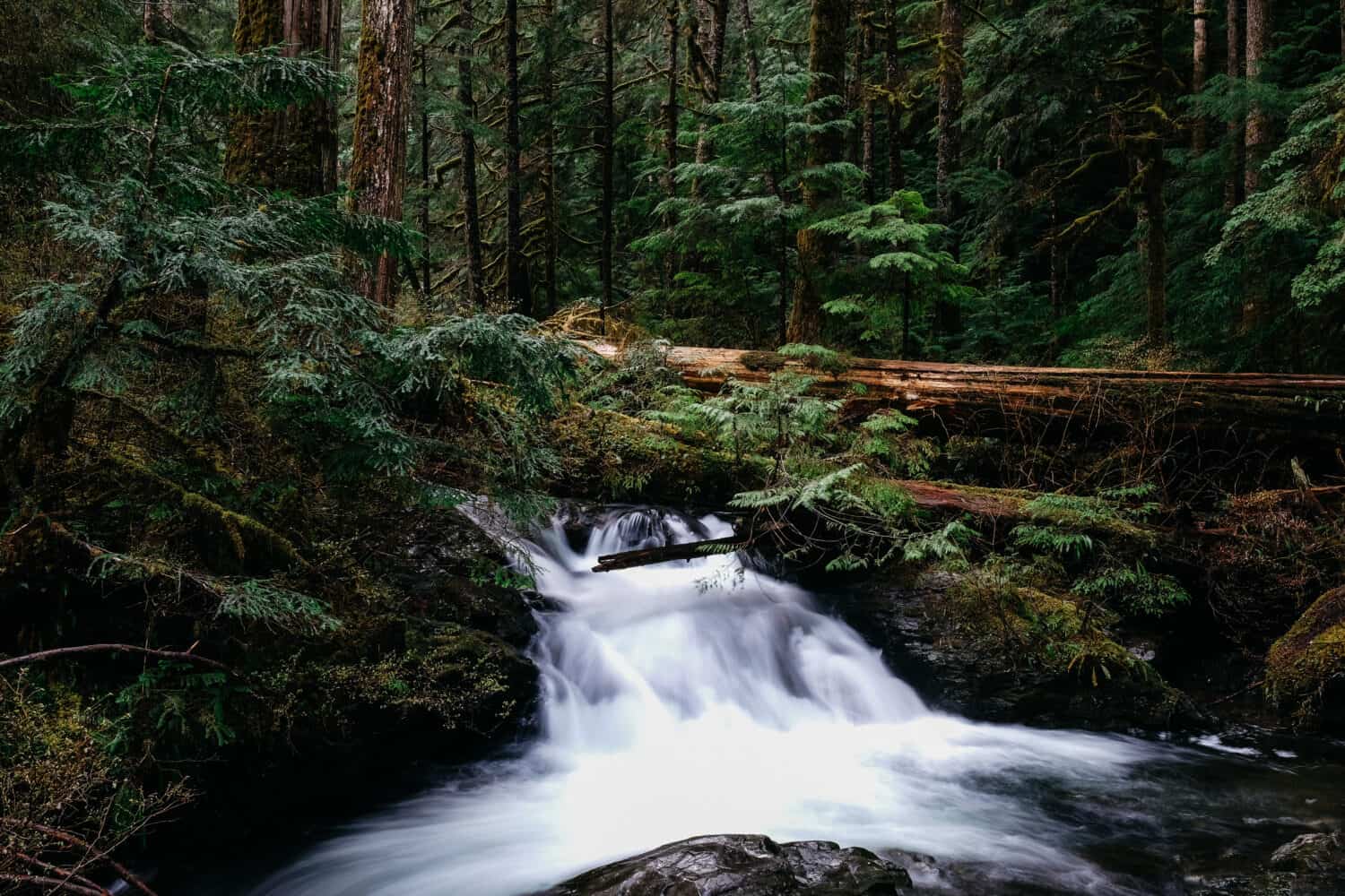 Lake 22 Trail - Hikes From Seattle, Washington - TheMandagies.com