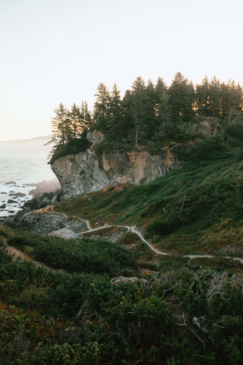 Patrick's Point State Park - Road Trip to Northern California