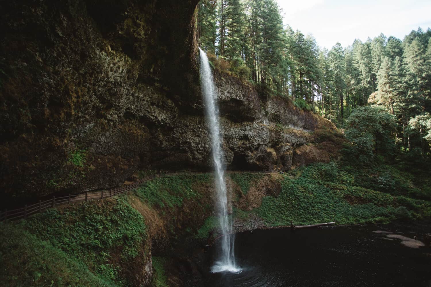 Portland Day Trips - Silver Falls State Park