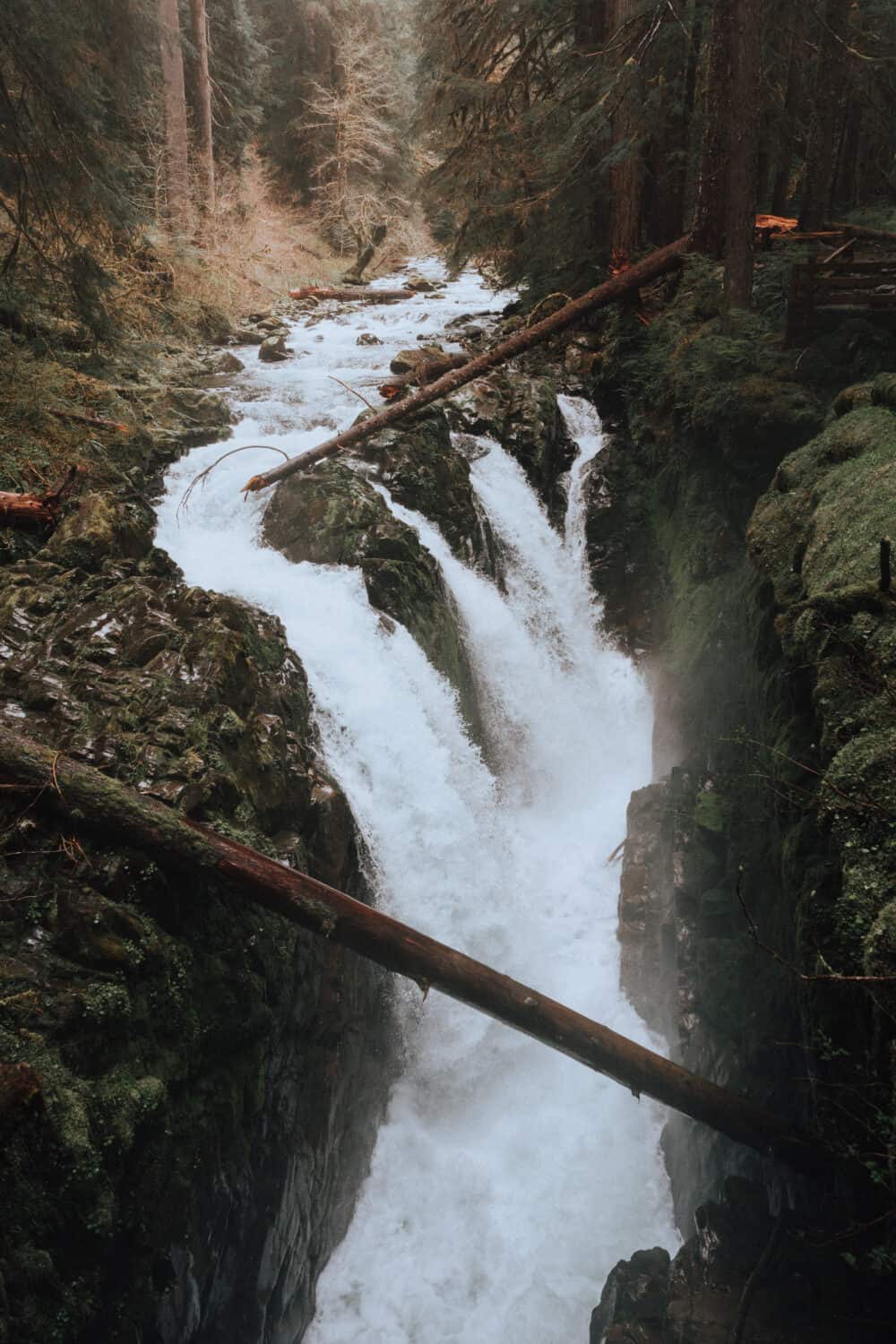 Sol Doc Falls in Olympic National Park - TheMandagies.com