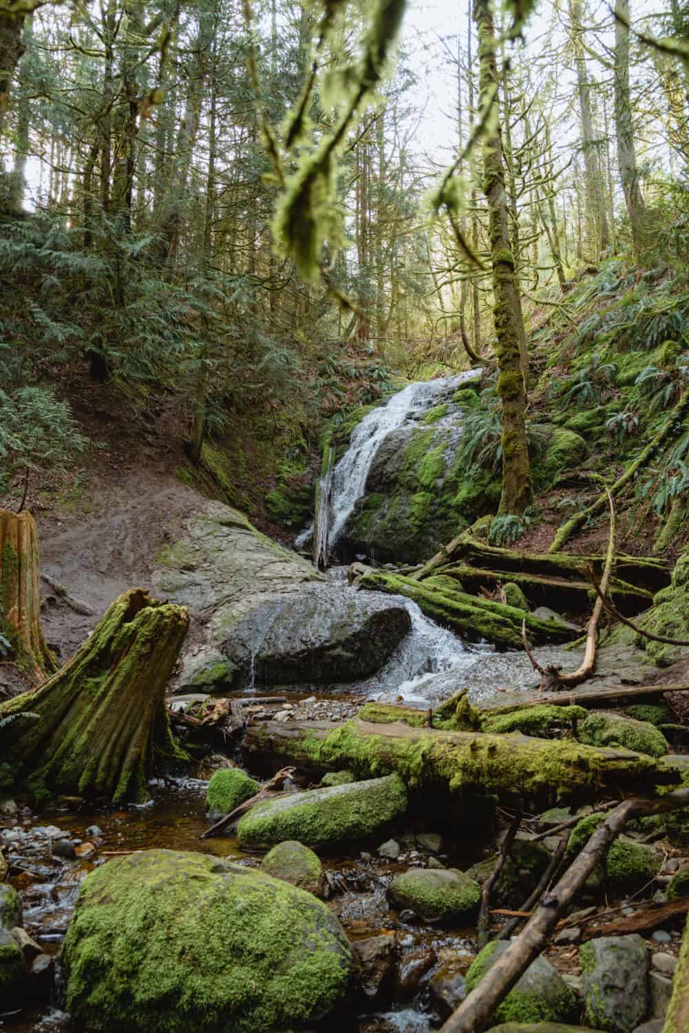 Coal Creek Falls Trail near Issaquah Washington