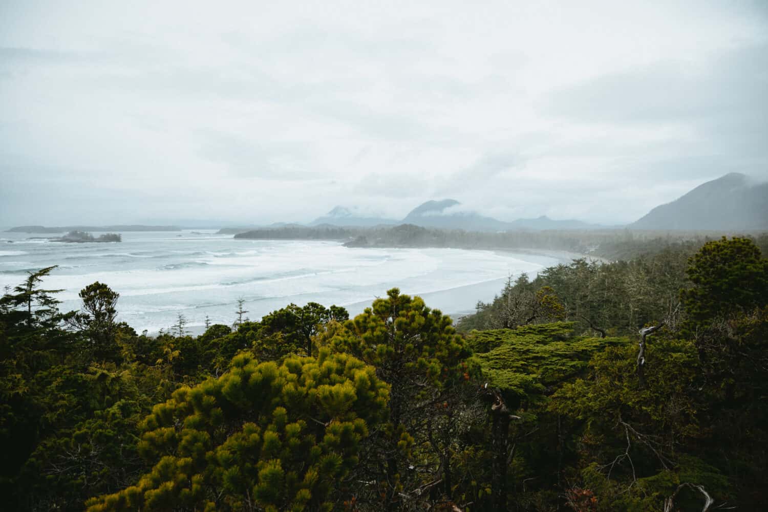 Cox Bay Lookout Trail - View From The Top