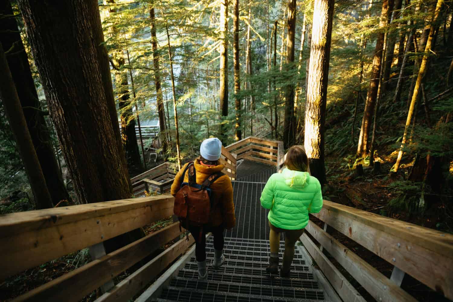 Visit Elk Falls Provincial Park - What To Do Campbell River - TheMandagies.com