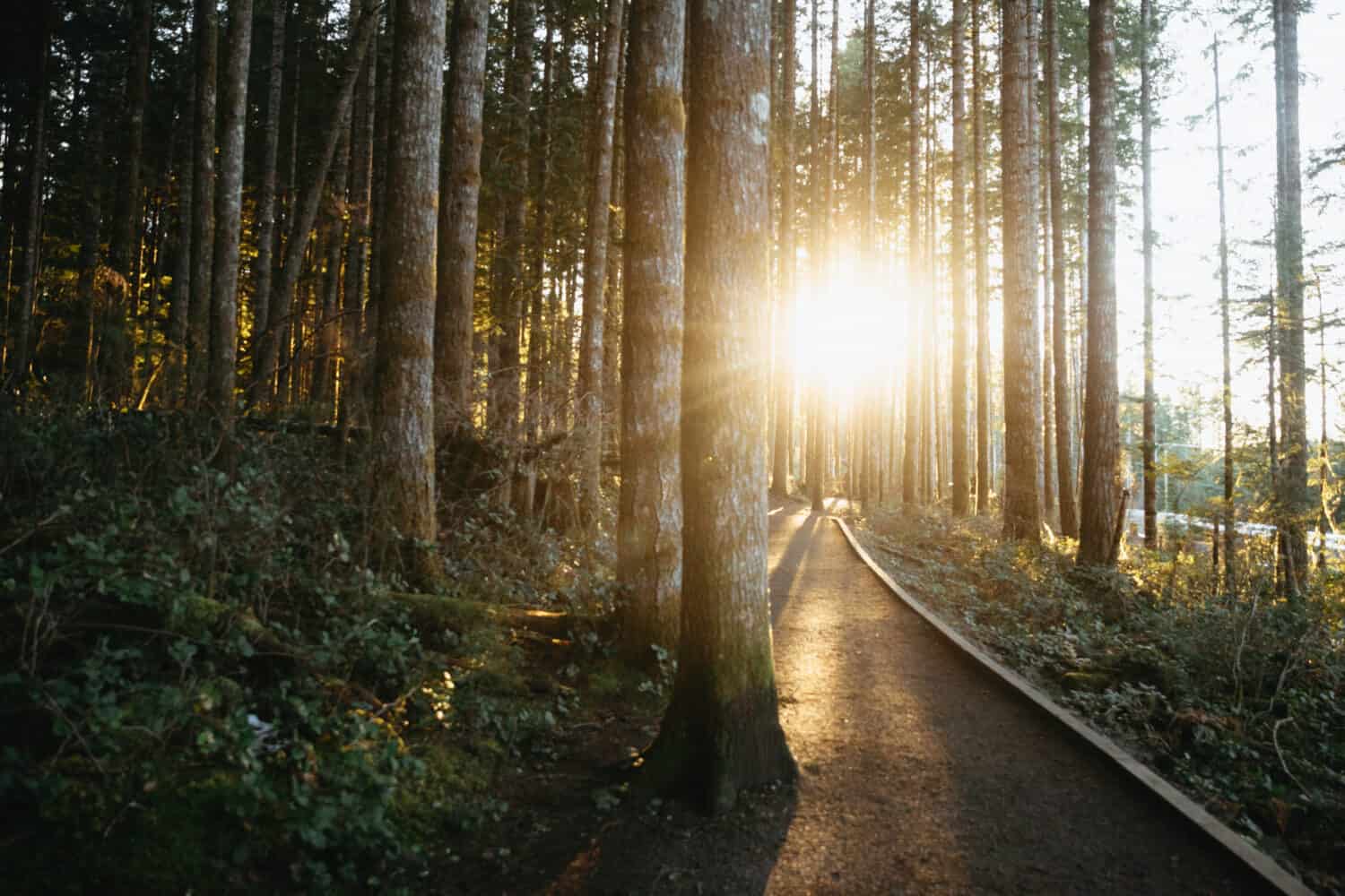 Hiking In Campbell River, BC - TheMandagies.com