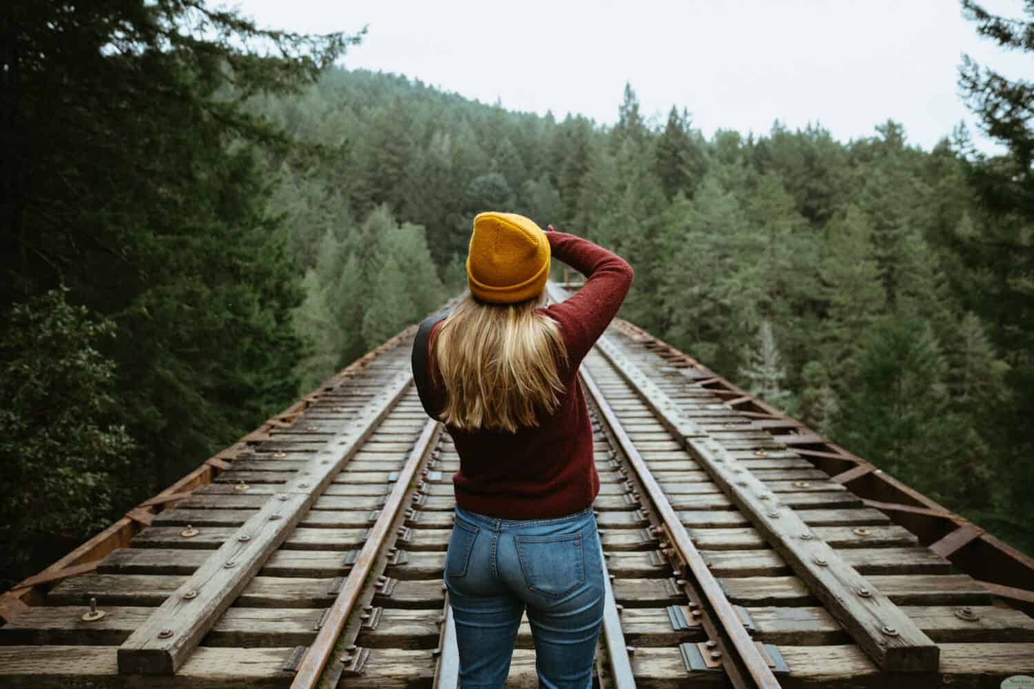 Niagara Trestle in Goldstream Provincial Park - TheMandagies.com