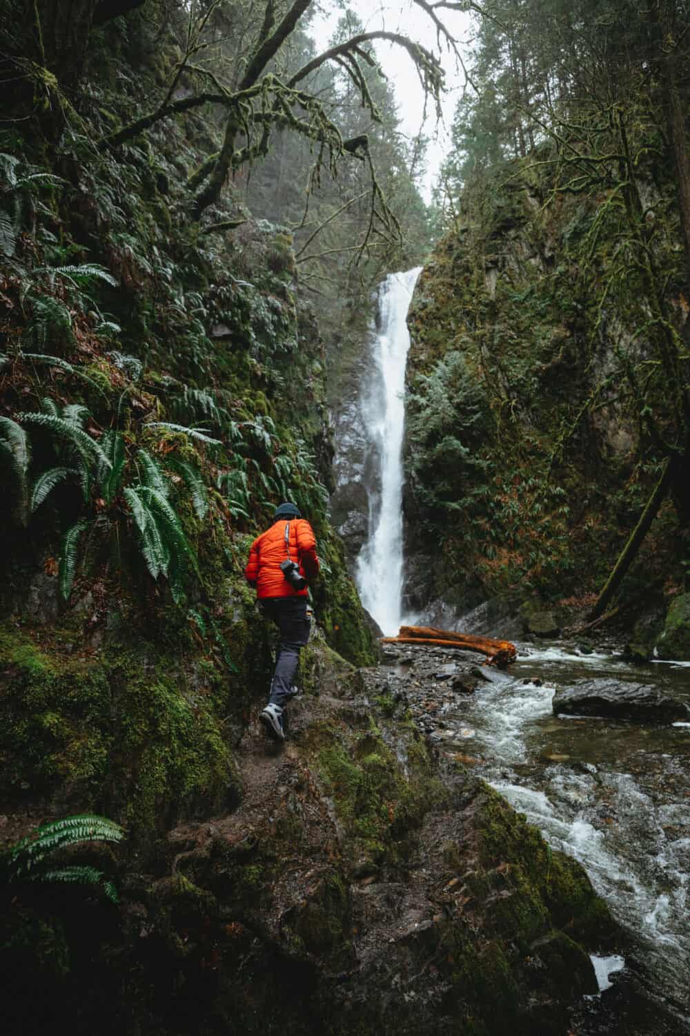 Niagara Falls in Goldstream Provincial Park, Vancouver Island, BC