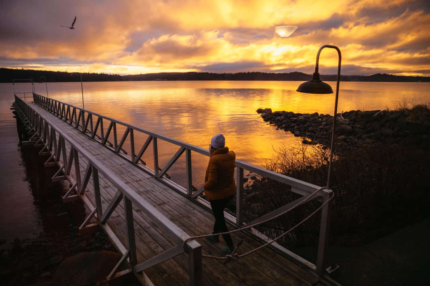 Watching sunrise across Discovery Passage in Campbell River, BC