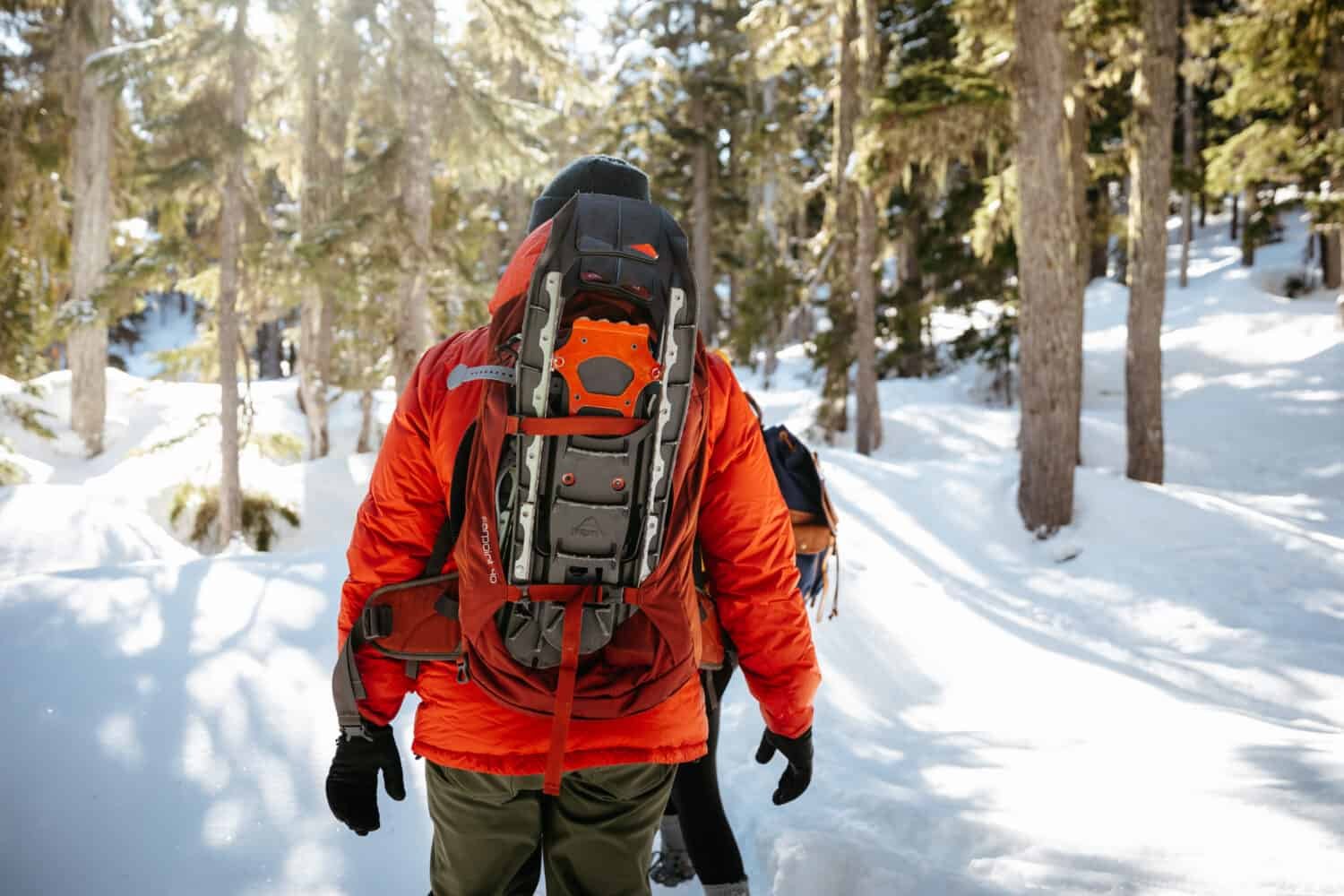 Snowshoeing - Mount Washington - Strathcona Provincial Park - TheMandagies.com