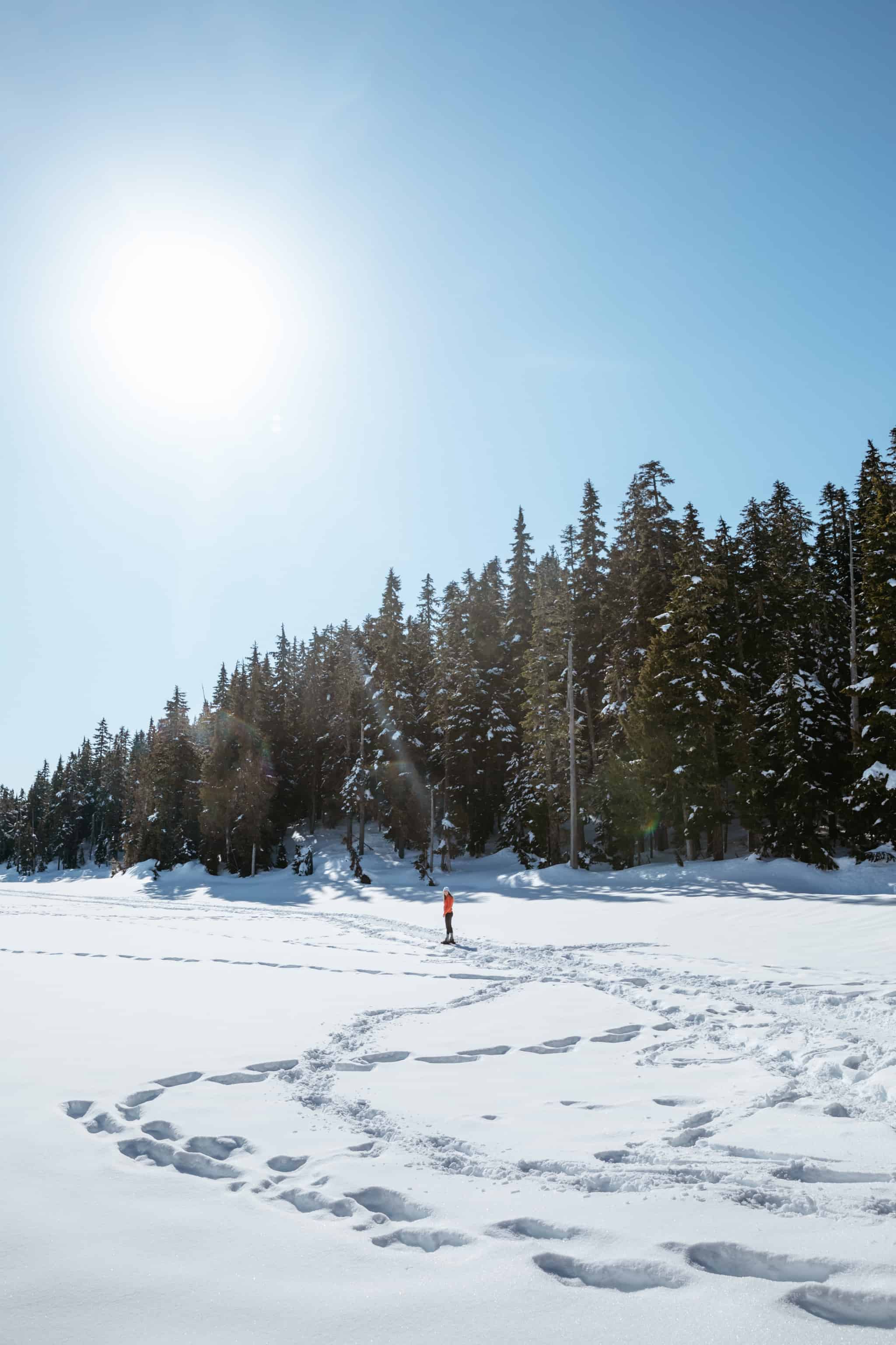 Emily Mandagie snowshoeing Forbidden Plateau - Strathcona Provincial Park - TheMandagies.com