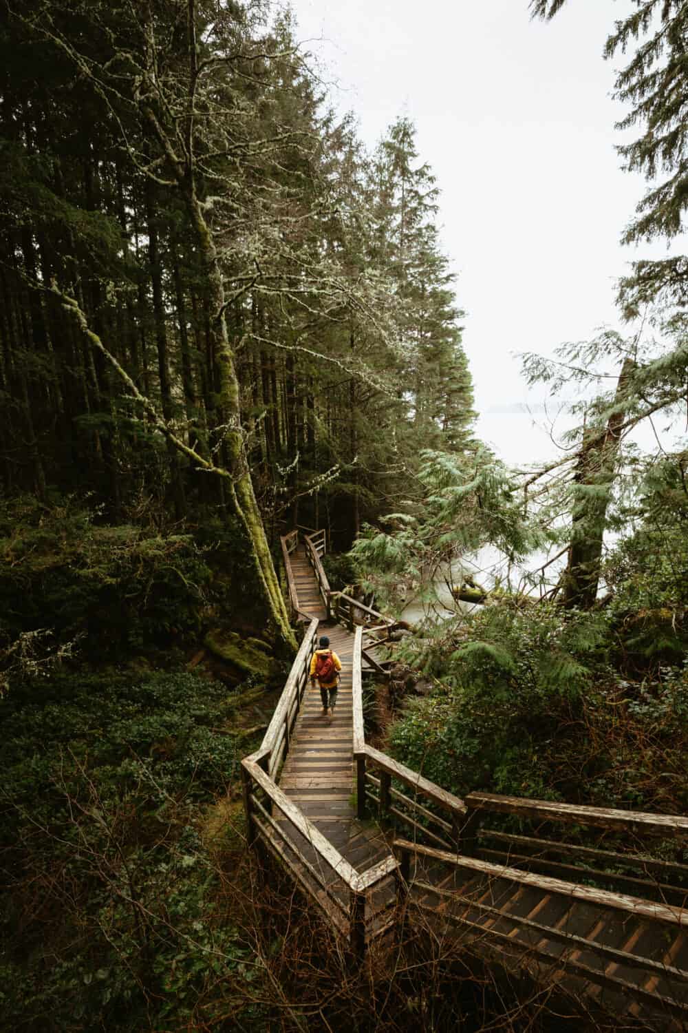 Tonquin Beach Trail - Best Hikes in Tofino