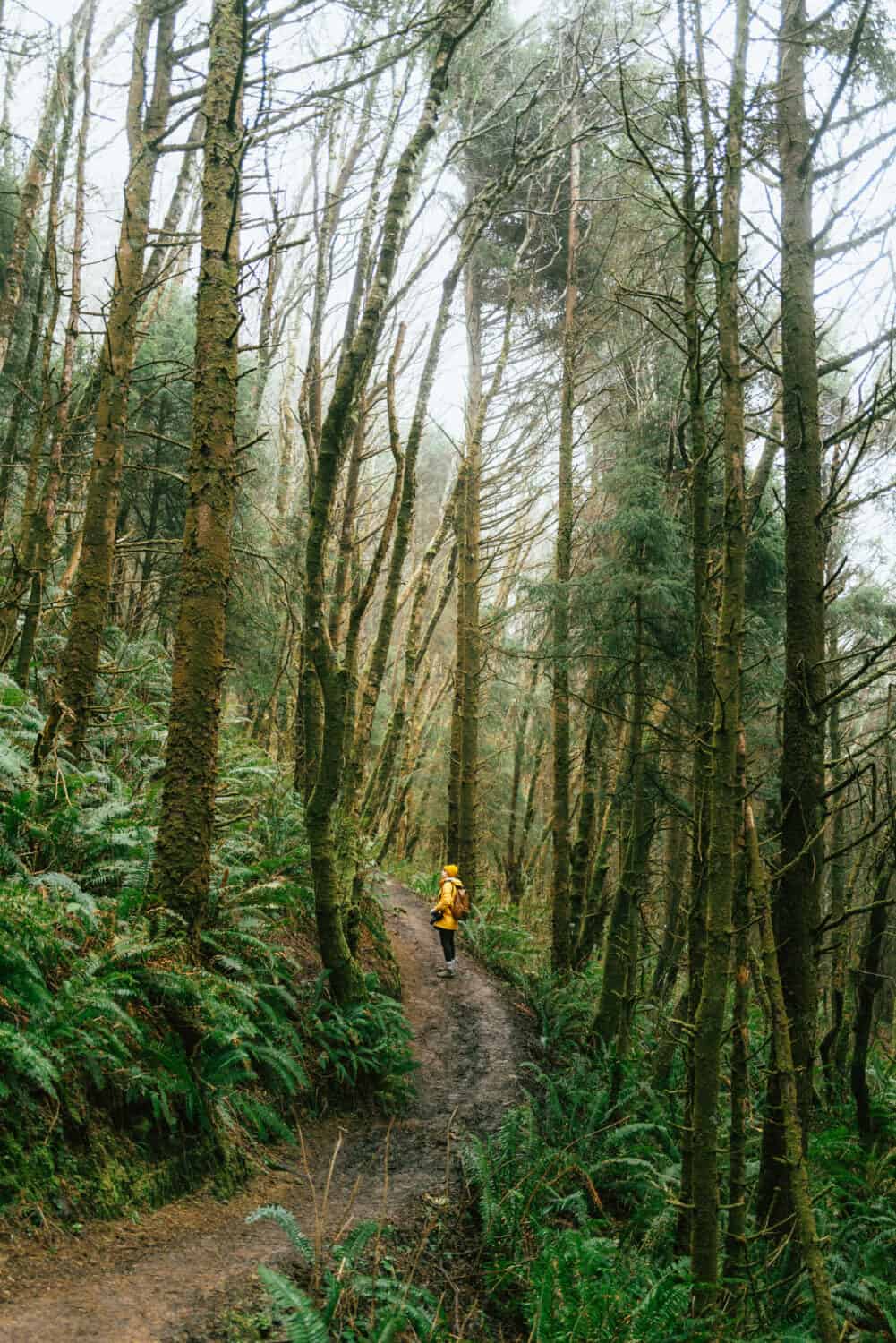 The Best Oregon Coast Hikes